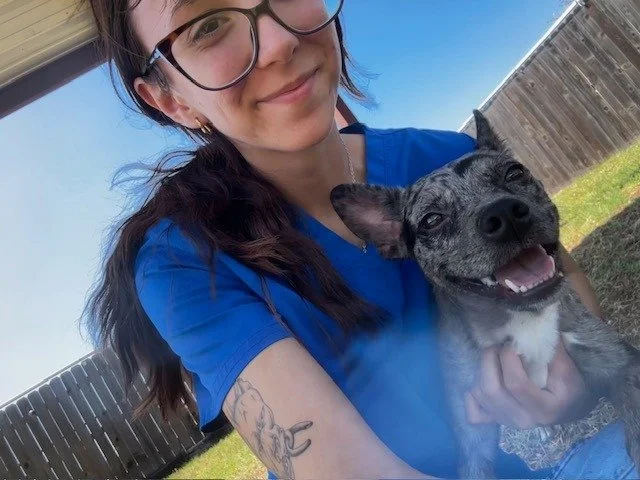 Just two professionals doing their job (the job is being adorable). #totesadorbs #driftwoodtx #wildflowerah #dogoftheday