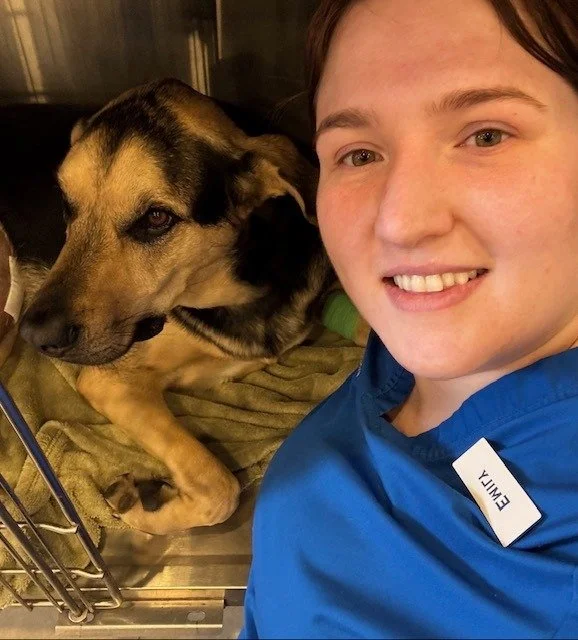 Post-surgery rule - no patient recovers alone on our watch. #wildflowerah #DriftwoodTX #Hank #dogoftheday