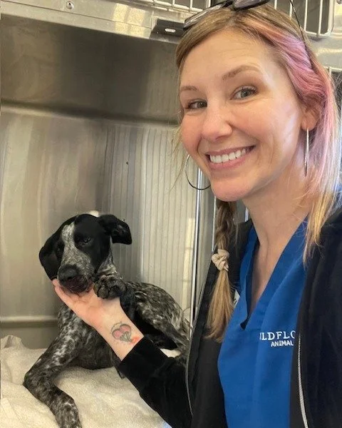 When your checkup turns into a photoshoot real quick. #puppygram #wildflowerah #DriftwoodTX