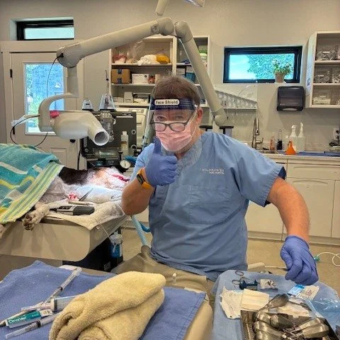 Thumbs up for fresh breath and clean chompers, plaque doesn&rsquo;t stand a chance today. #dentalcleaning #beatbadbreath #wildflowerah