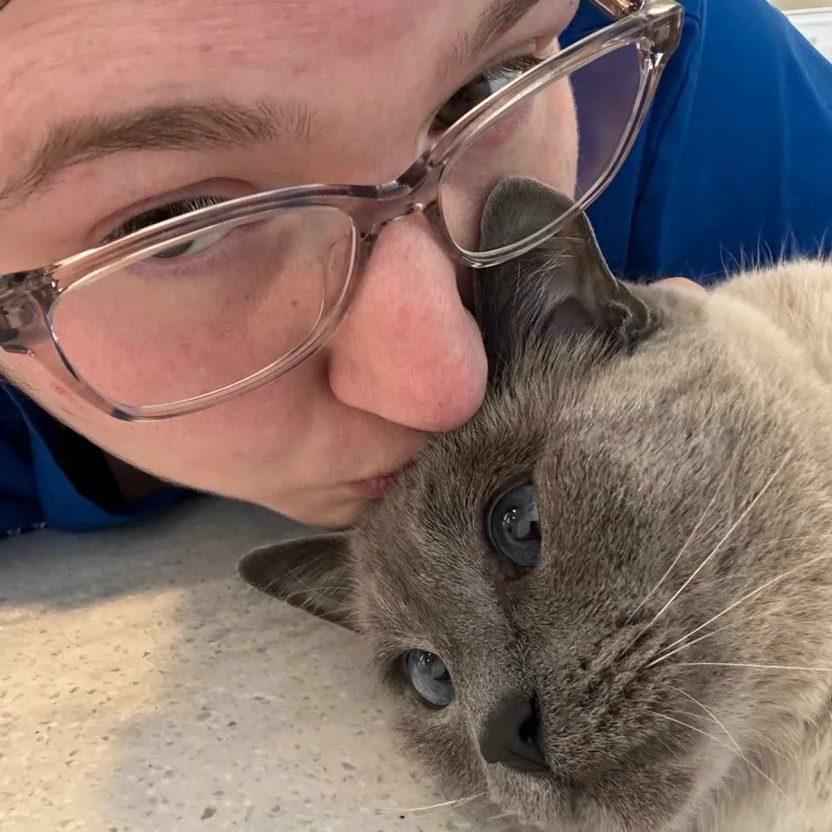 Auggie casually continues his reign as clinic celebrity. #catoftheyear #auggie #favoritecat #VIP
