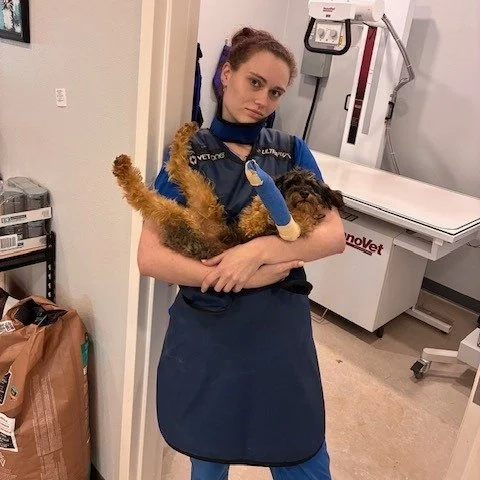 Olivia and Ringo are basically setting the 2026 vet fashion standard. #fashionforward  #RingotheStar #RunwayReady