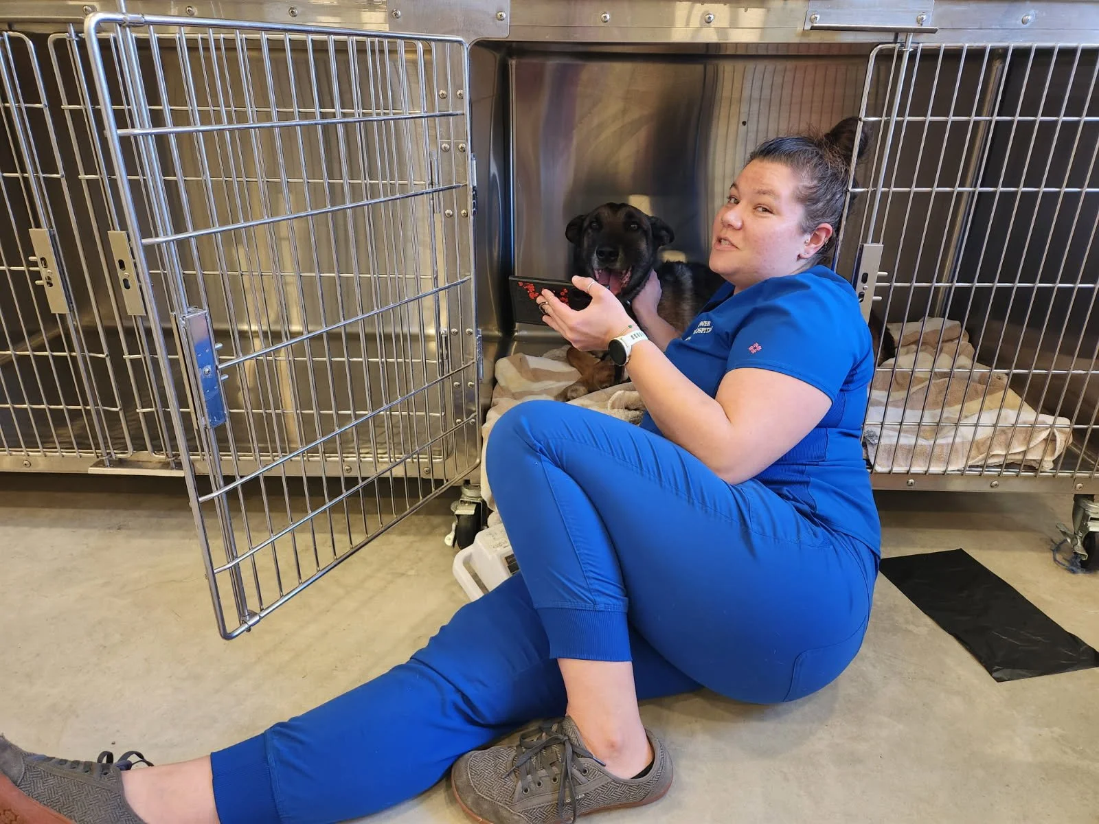 Brooks and Lawren watching Bluey post-surgery. That's what we call concierge service! #dogoftheday #Bluey #belgianmalinois #goodboy
