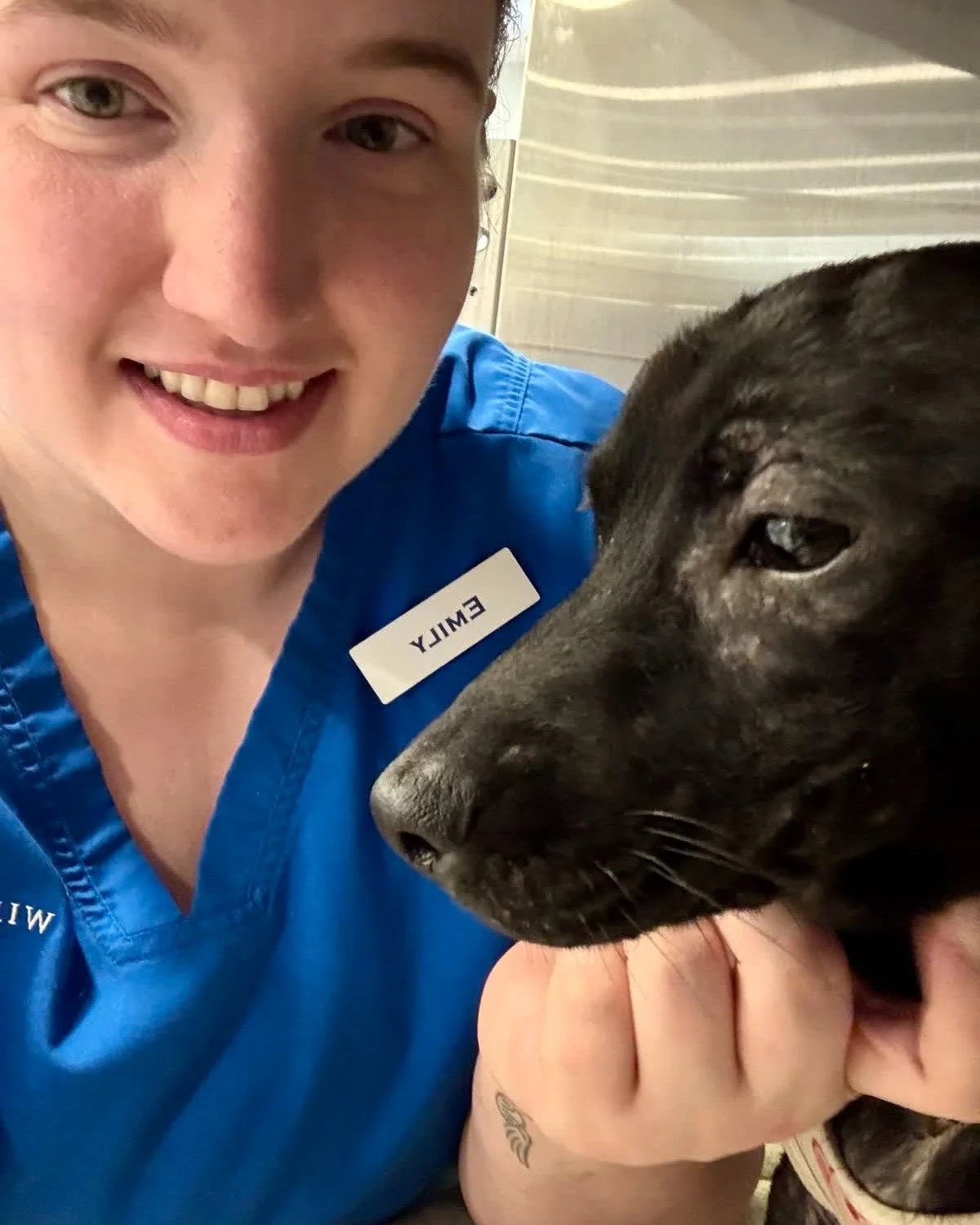 Emily gives a VIP a VIC - very important chin scratch. #goodboy #freescritches #dogoftheday