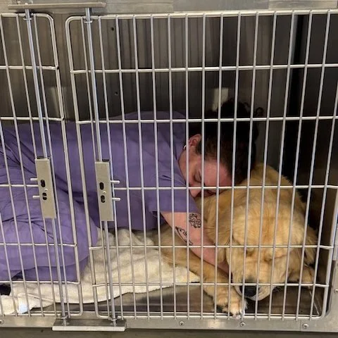 Olivia heard "cage rest" and said "Say less." #sleeptight #onabreak #snugglebuddy