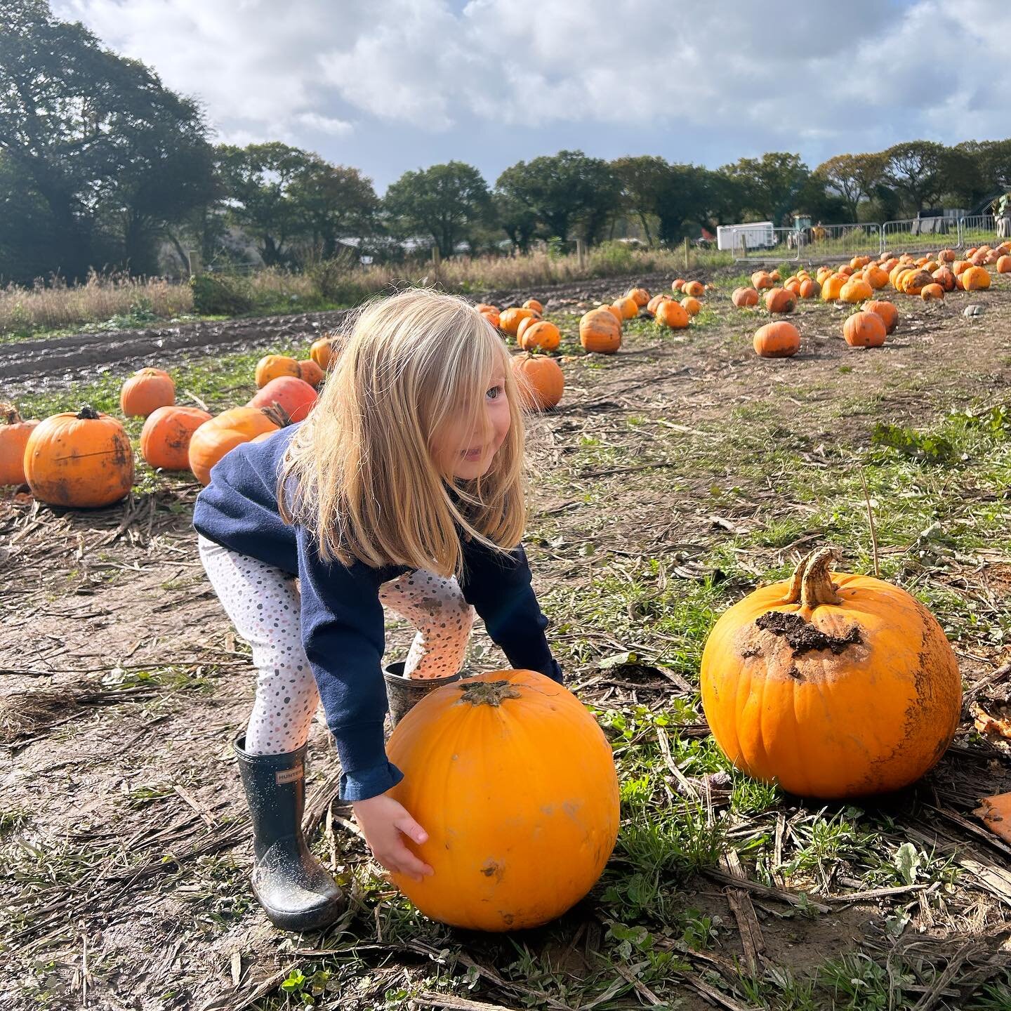 Happy Halloween from @thepinkhousebude 🎃

#thepinkhousebude #strawberryfieldslifton #pumpkinpatch #halloween #aspectholidays