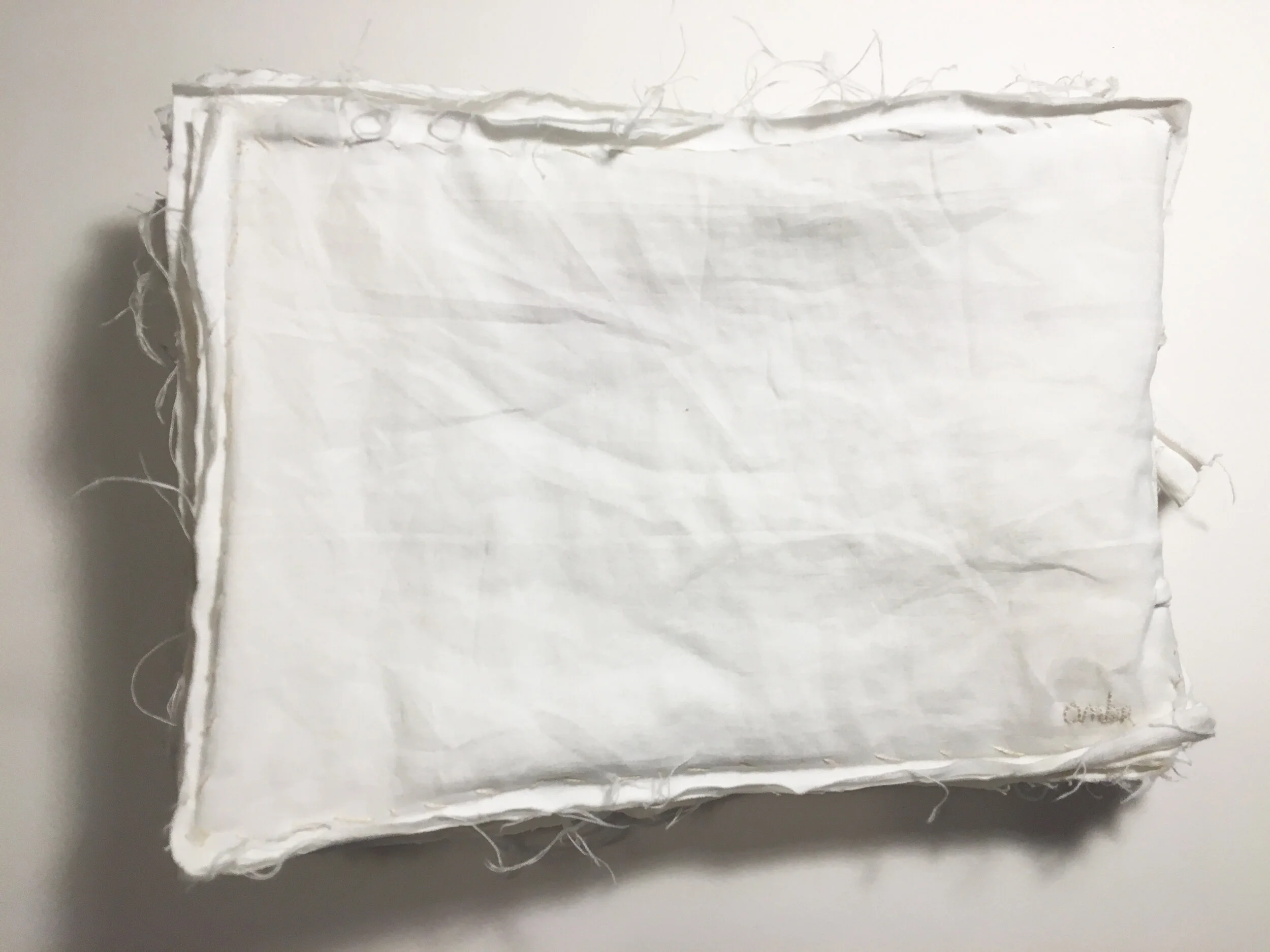 We Must Suffer to Be Beautiful - detail 