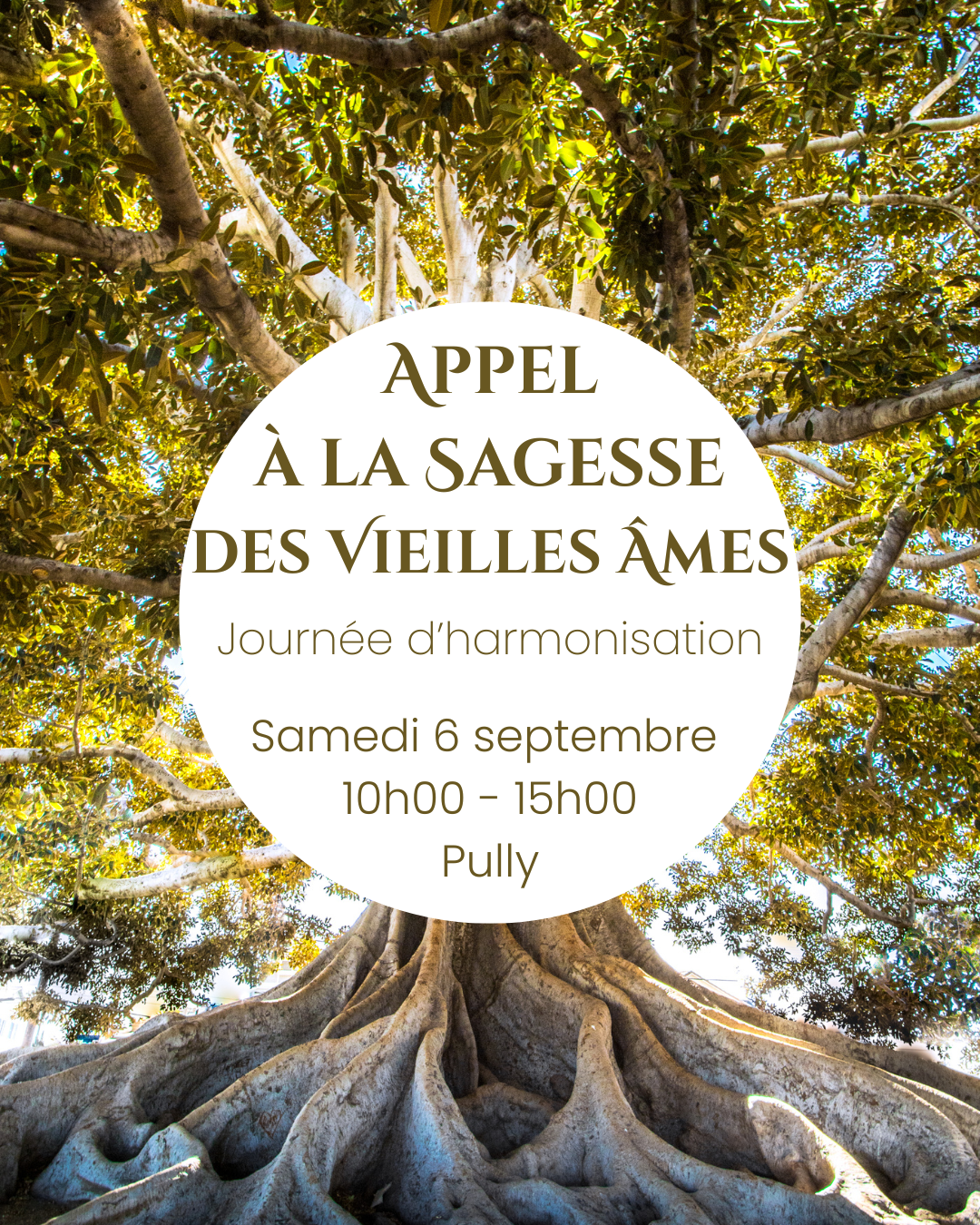 APPEL A LA SAGESSE DES VIEILLES ÂMES
