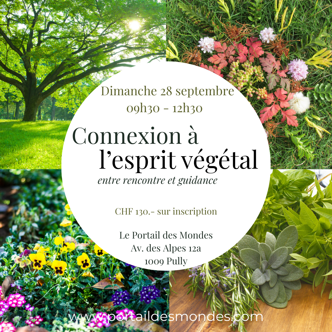 CONNEXION AU PEUPLE VÉGÉTAL
