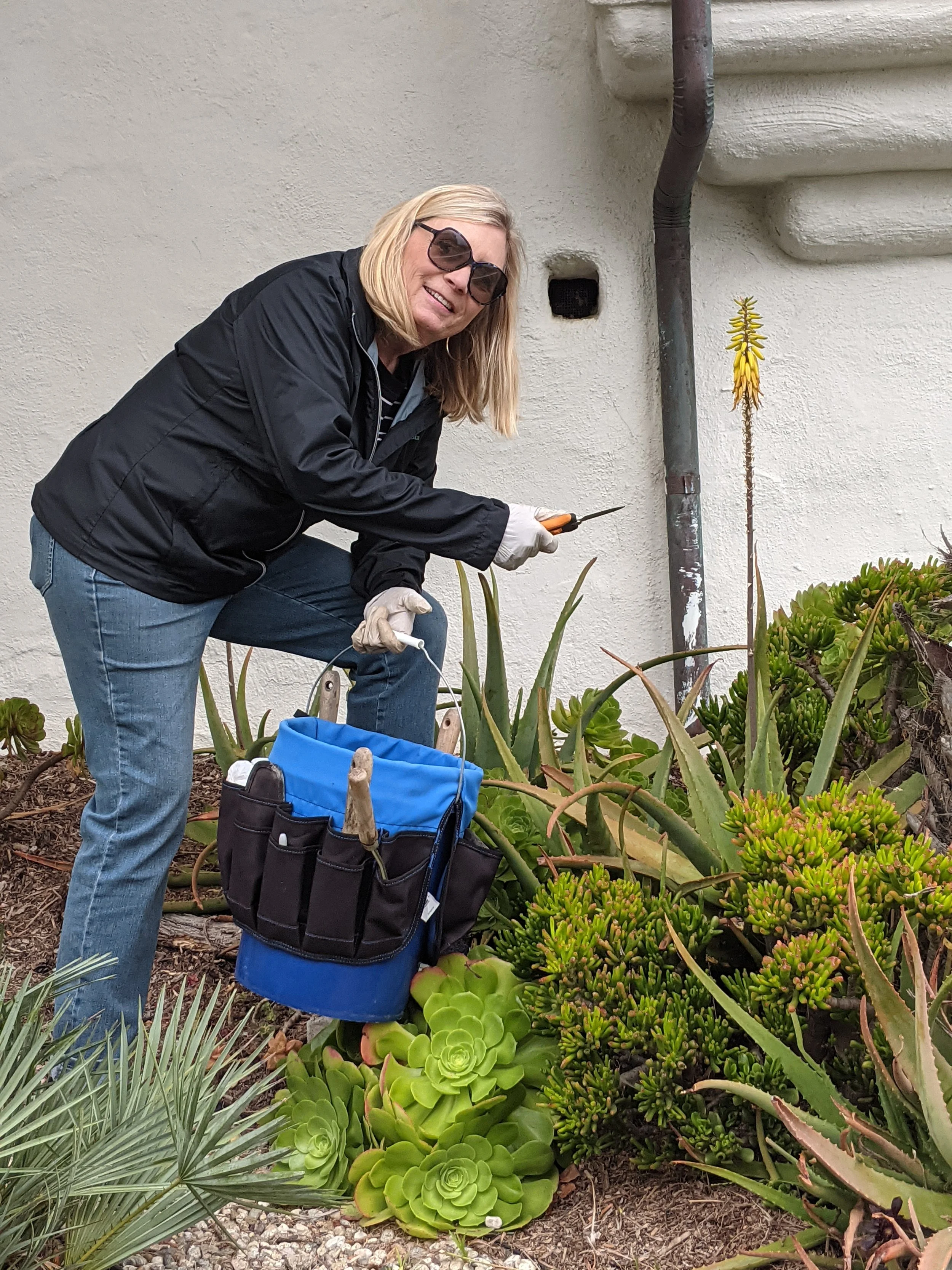 Civic Beautification - Casa Romantica