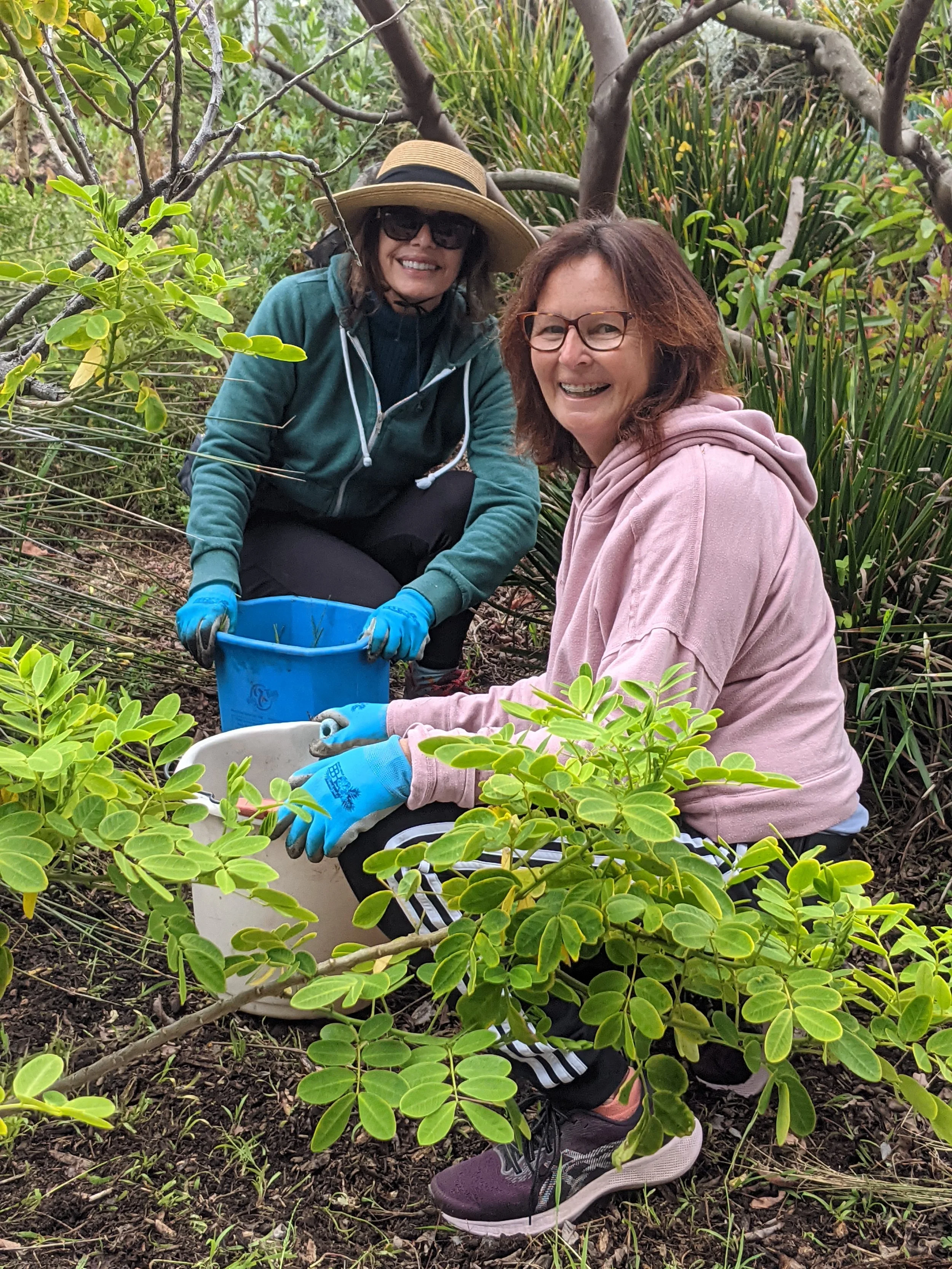 Civic Beautification - Casa Romantica