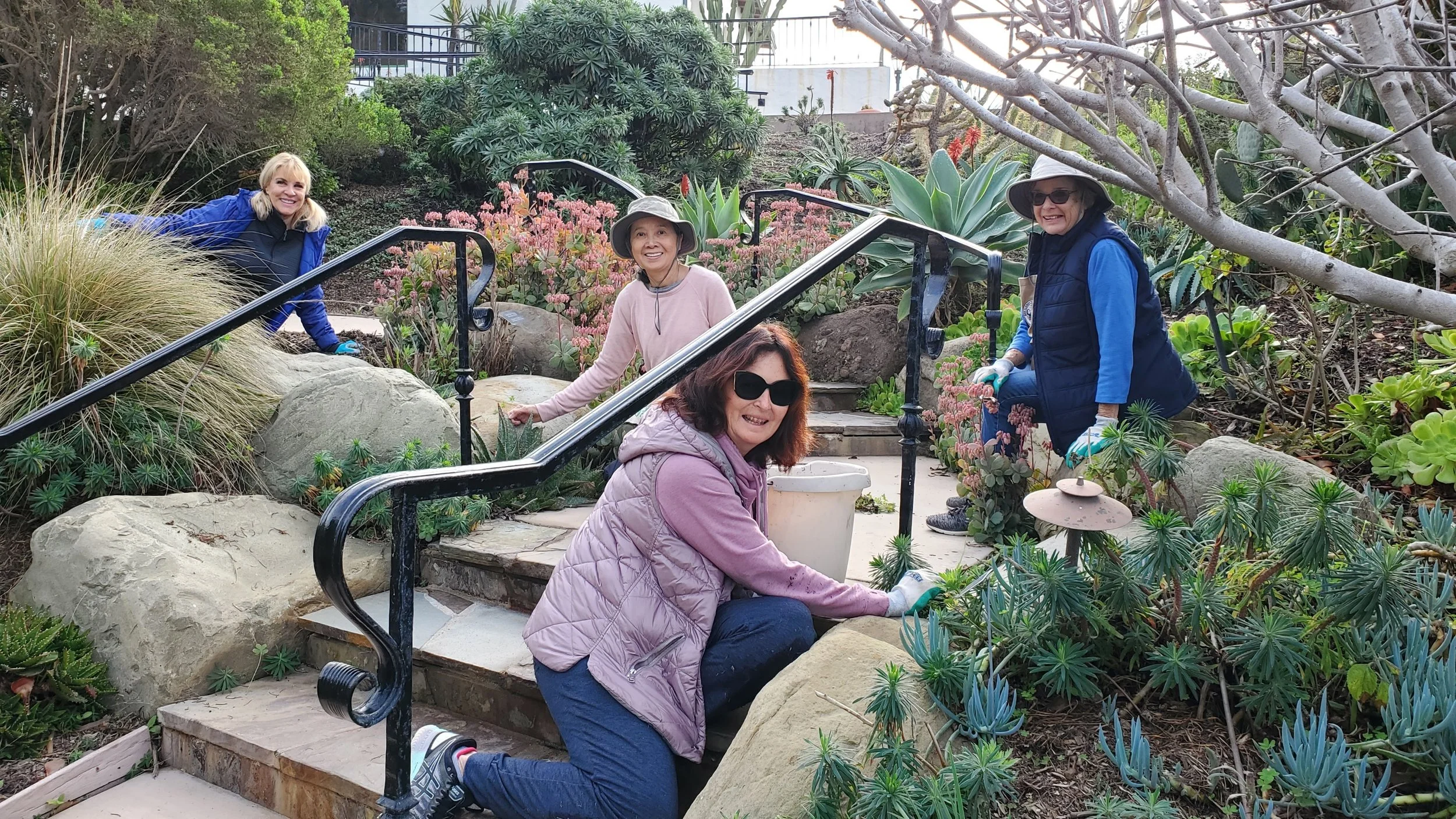 Civic Beautification - Casa Romantica