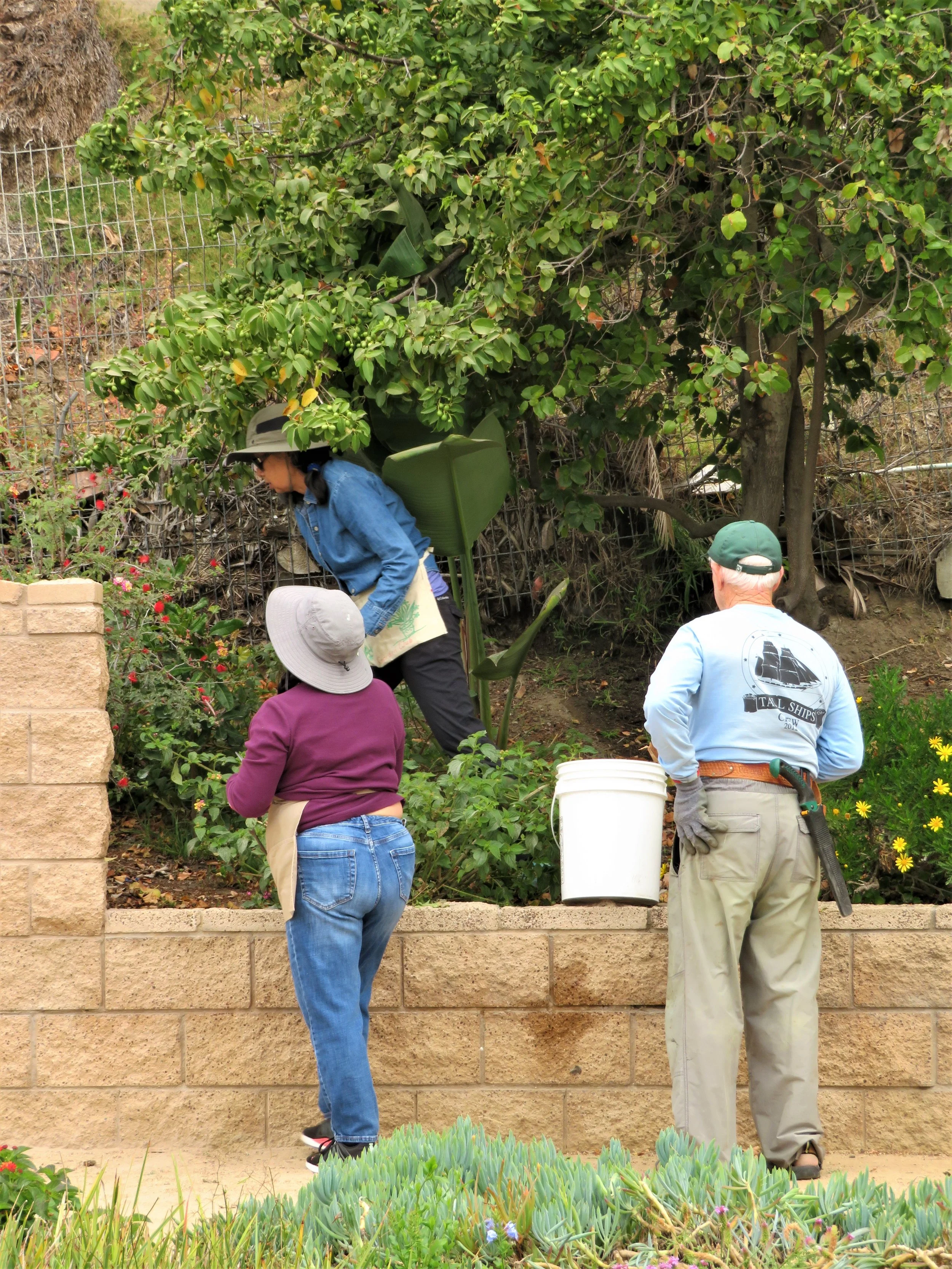 Civic Beautification - Park Semper Fi