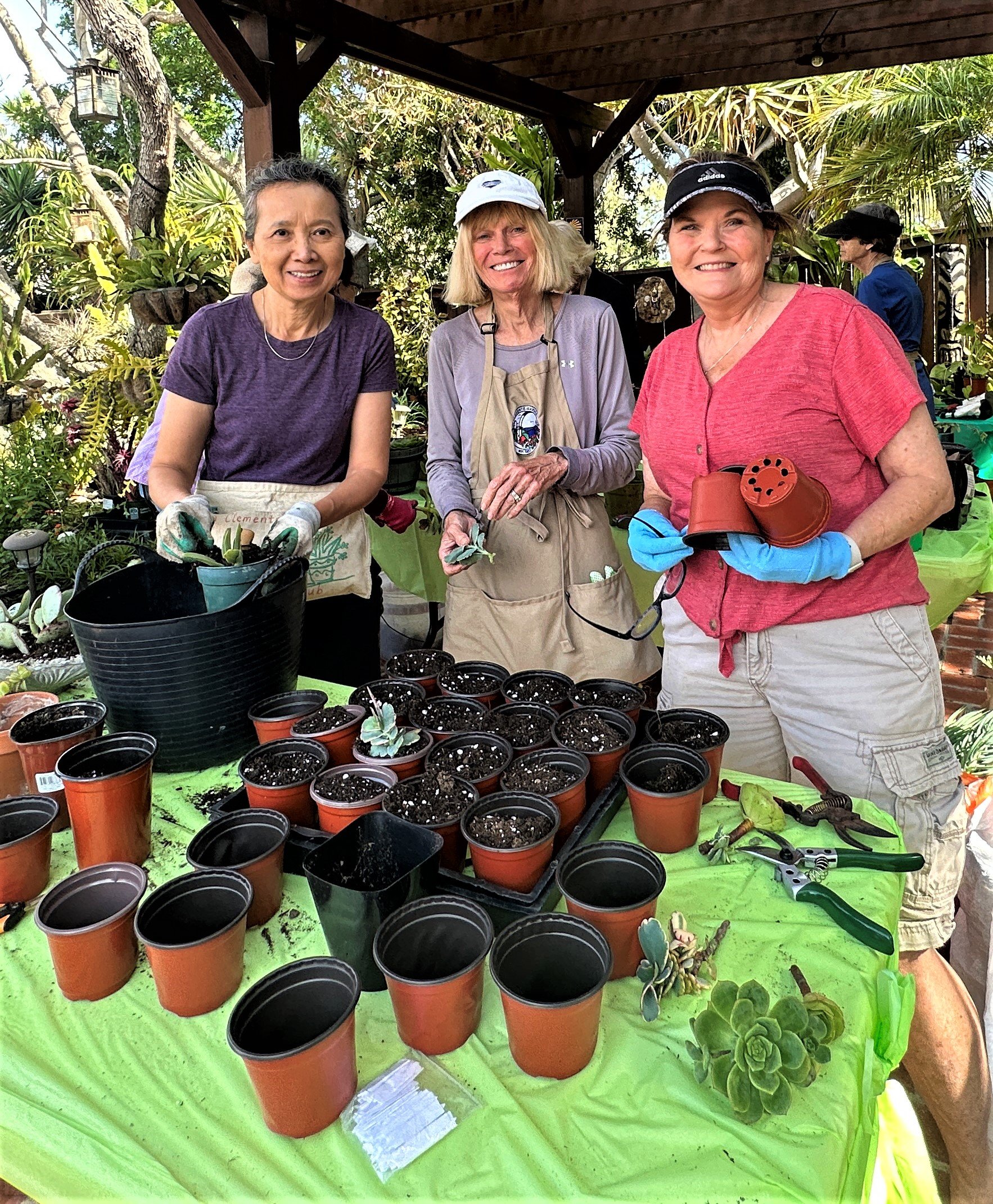 Propagation Workshop 1A.jpg