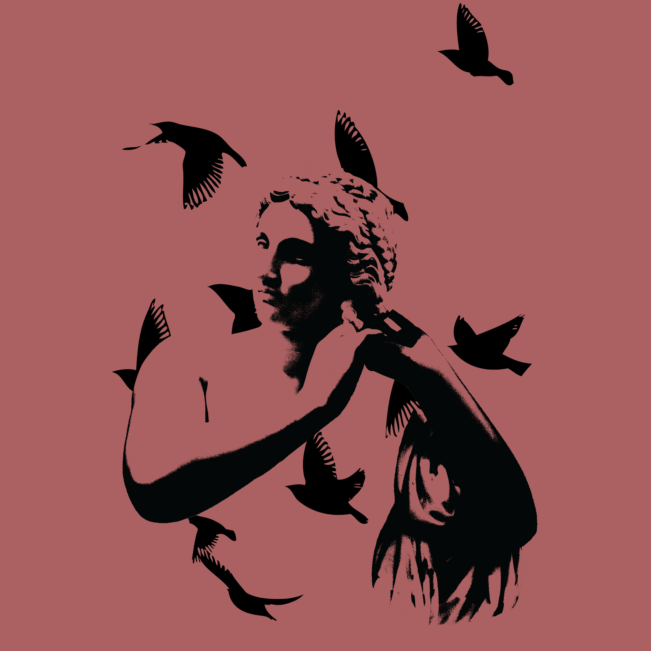 Lady-with-Bird-Flock-square.png