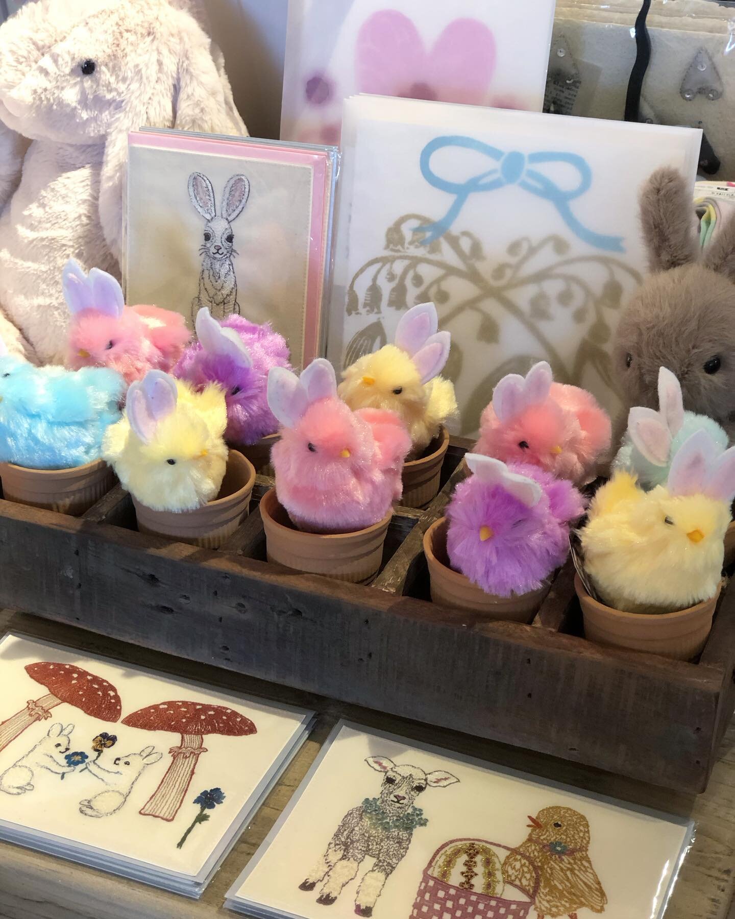 Hop on in for all your Easter goodies, we have a lot of cute ones this year 🐣