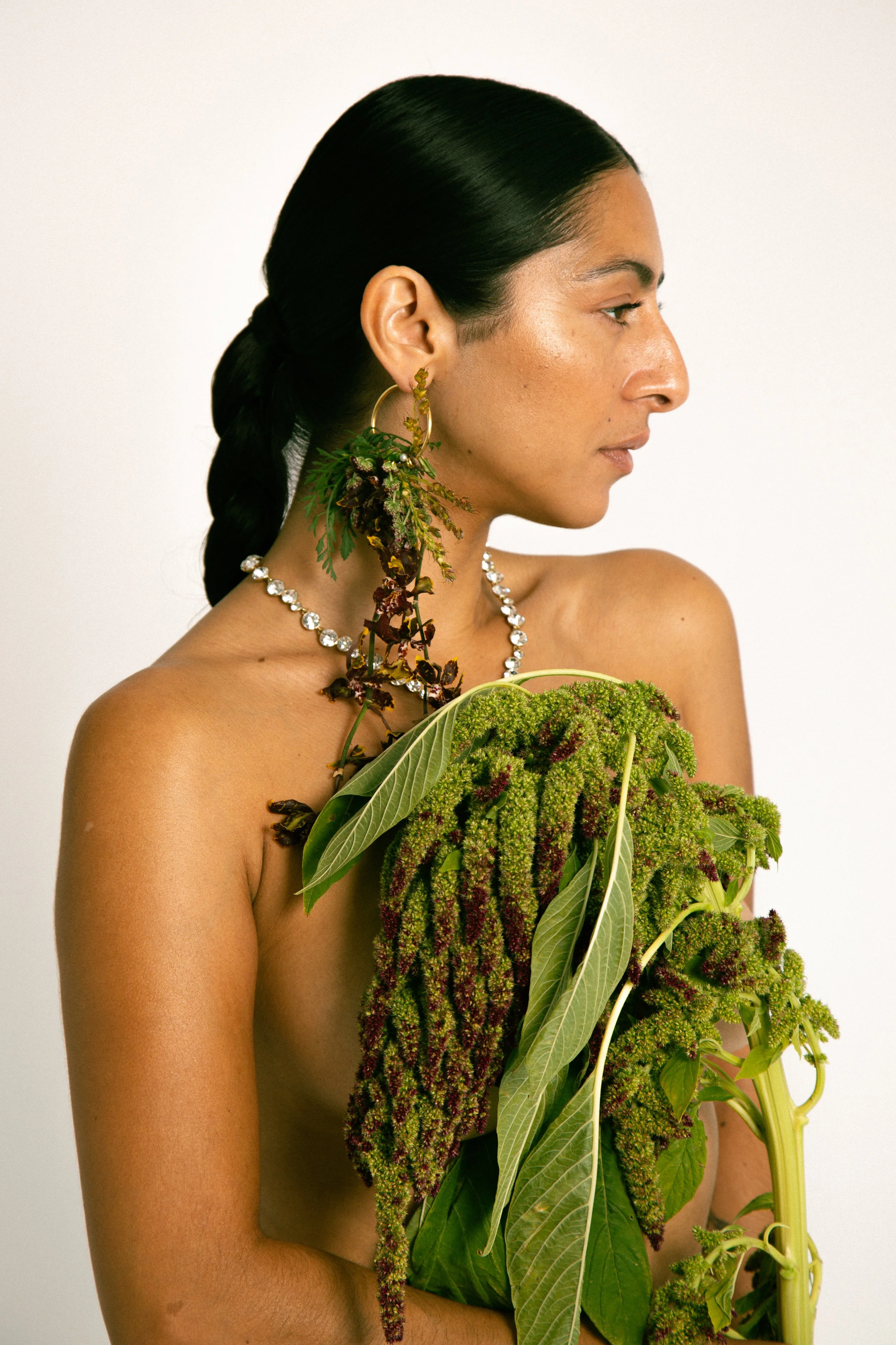 4444 - Carolina Isabel 003