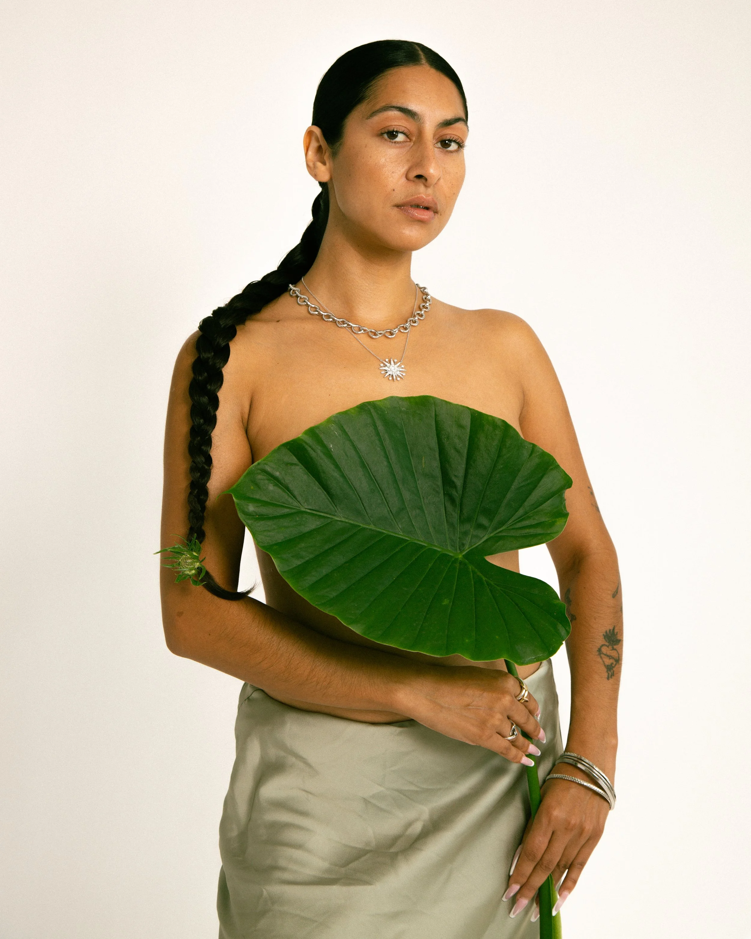 4444 - Carolina Isabel 002