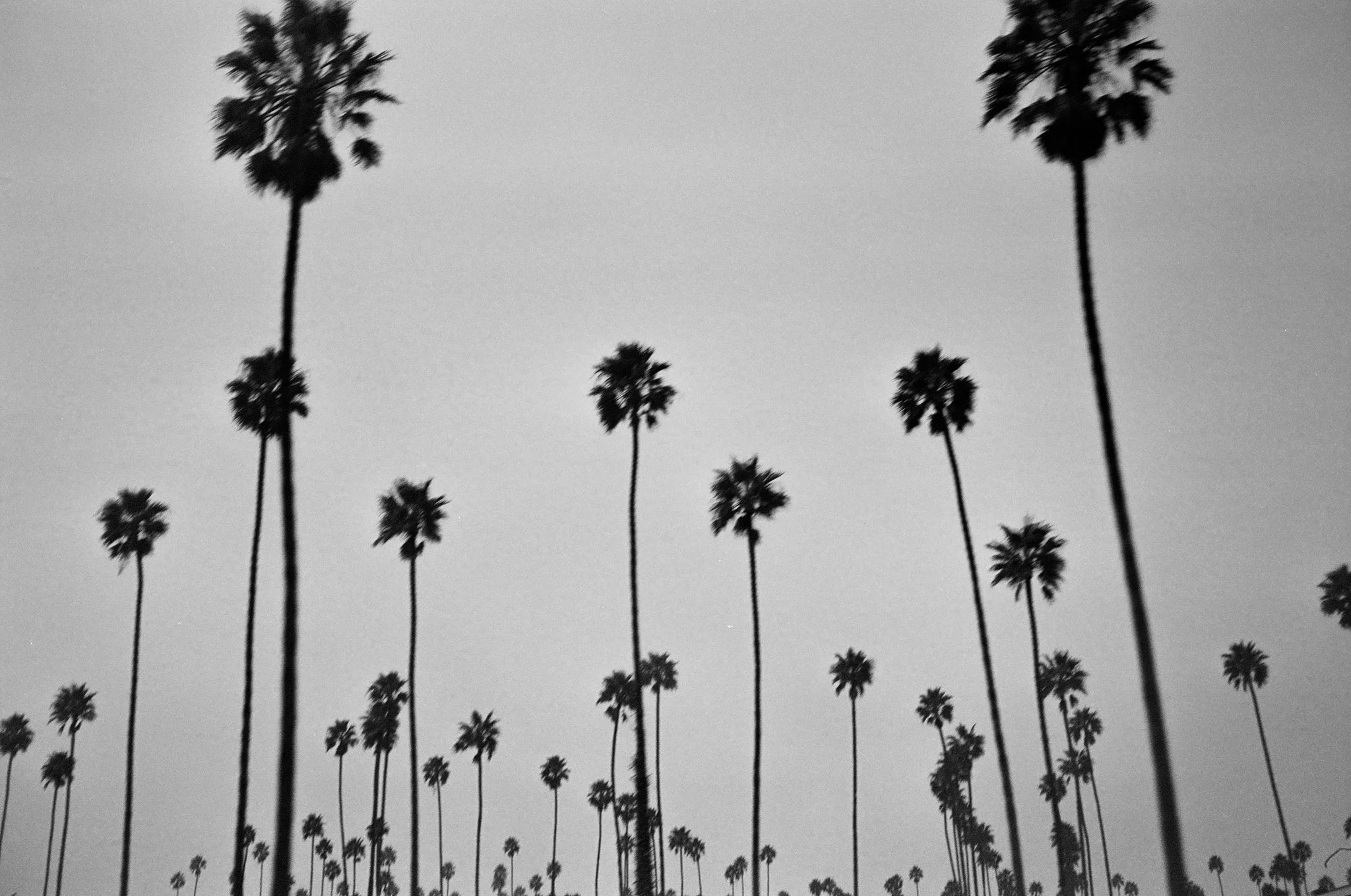 Oxnard, California 002