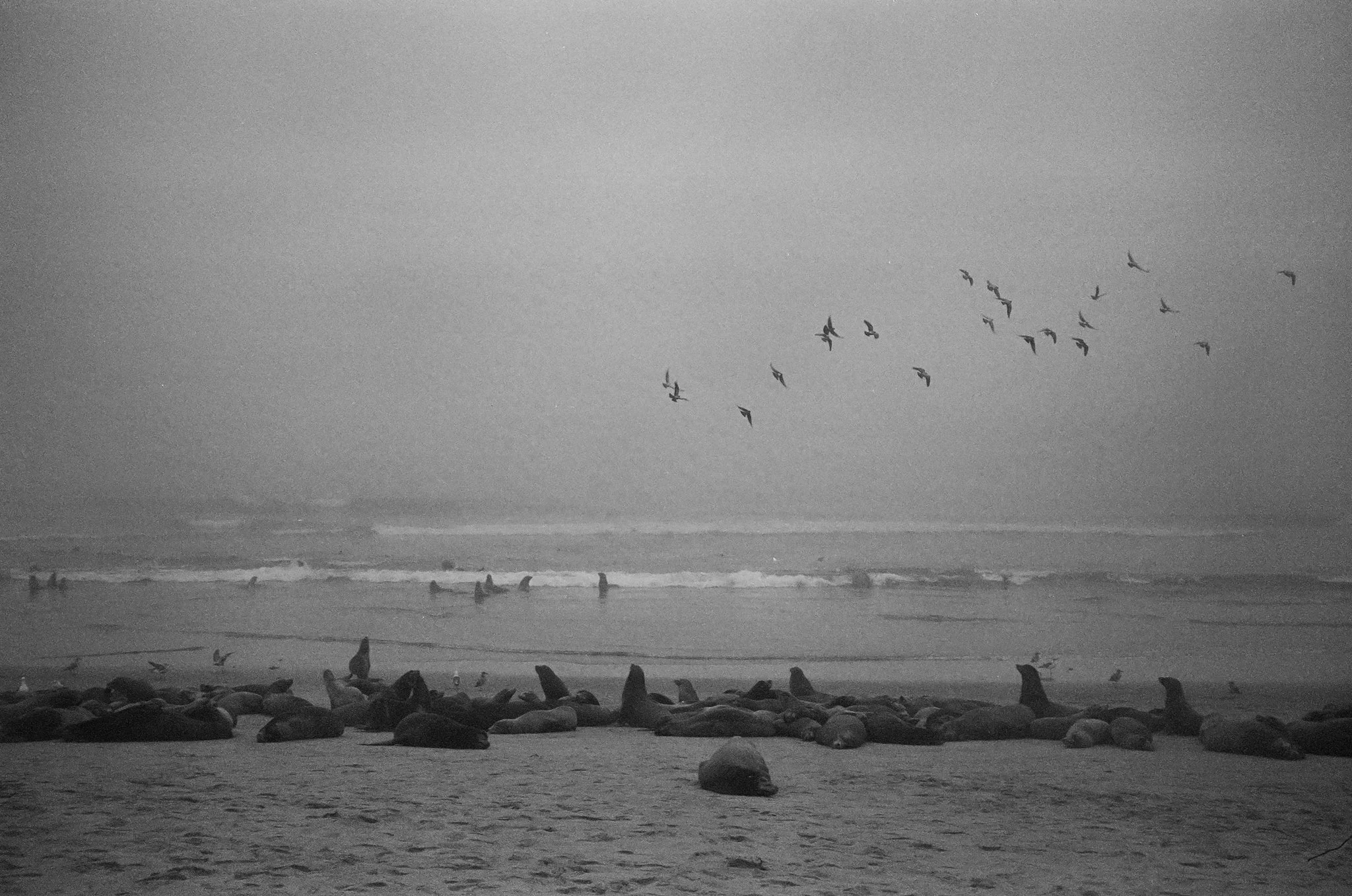 Oxnard, California 003