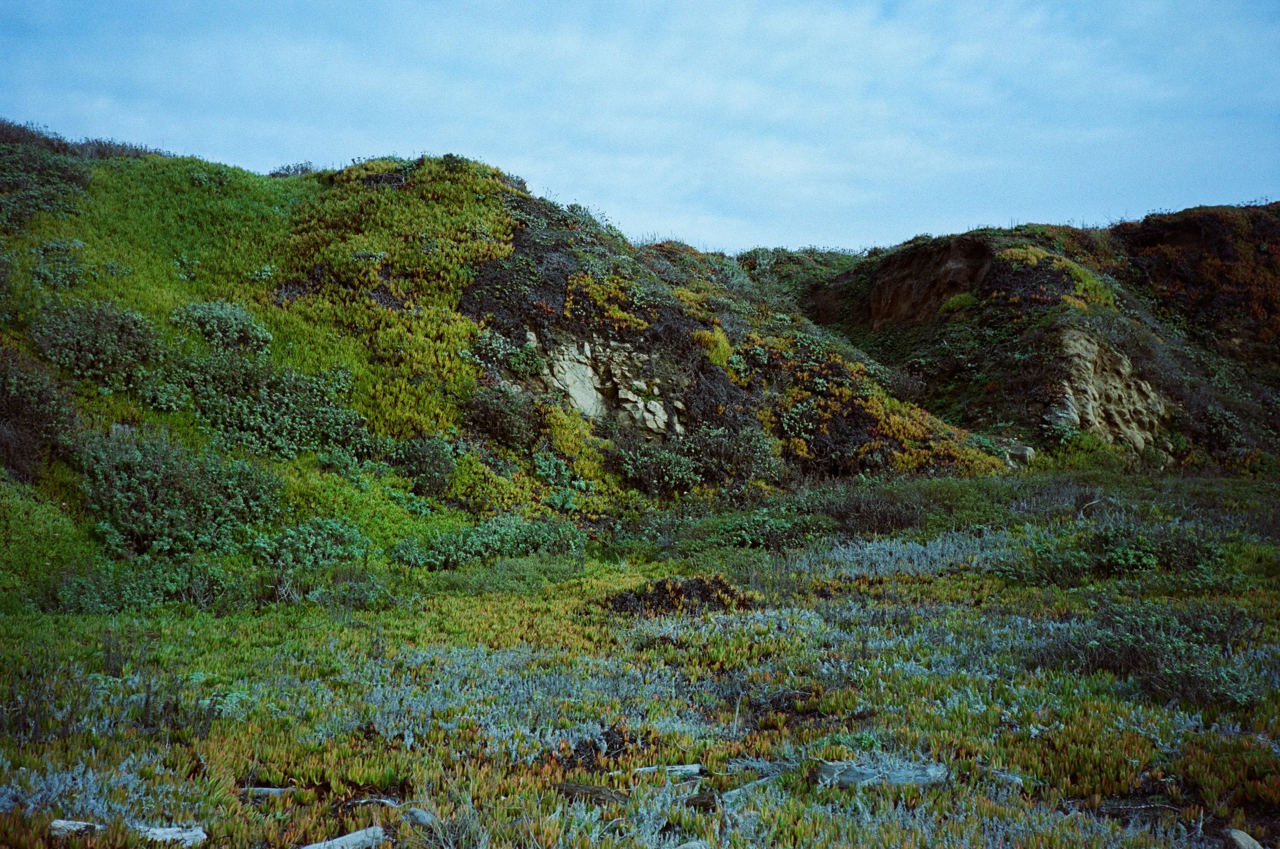Pescadero Beach