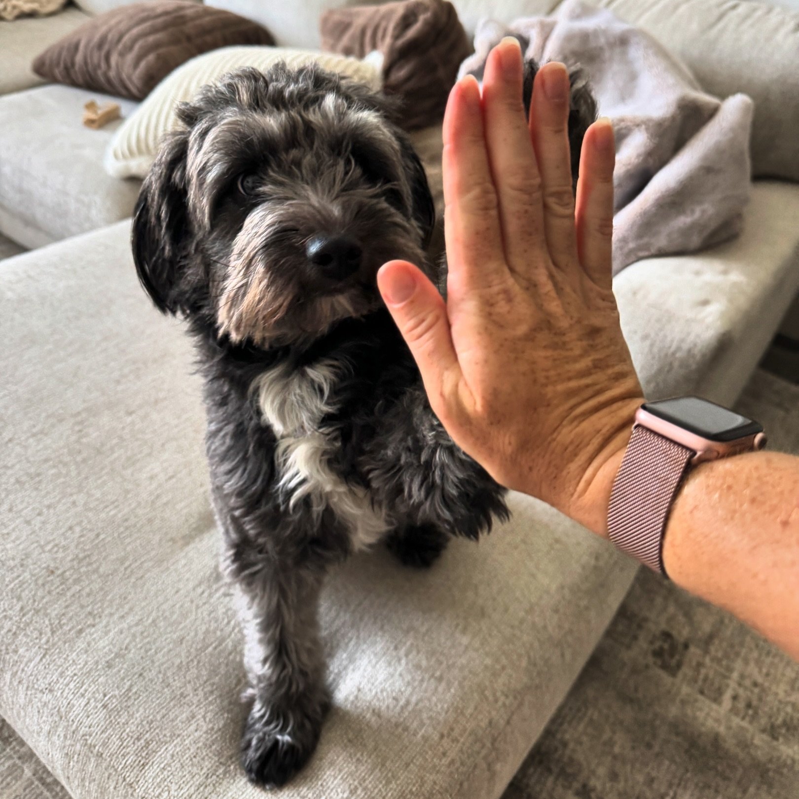 Zola: High-five for Friday, ammiright?