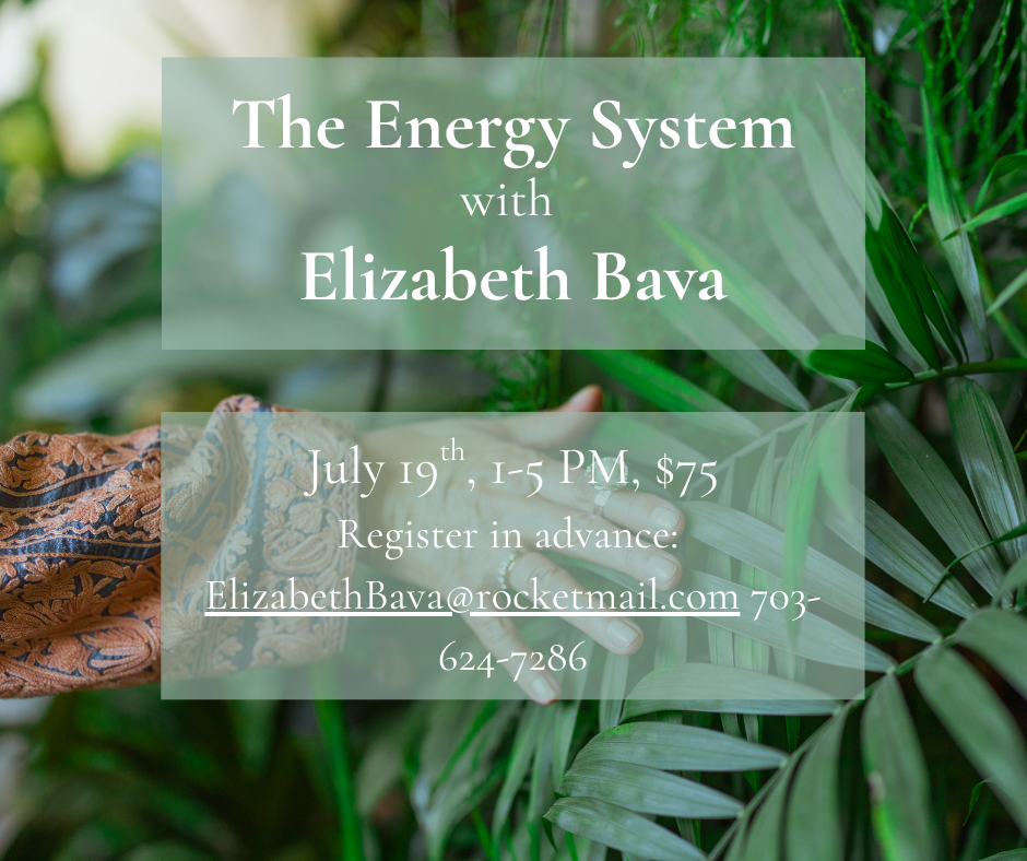 The Energy System with Elizabeth Bava