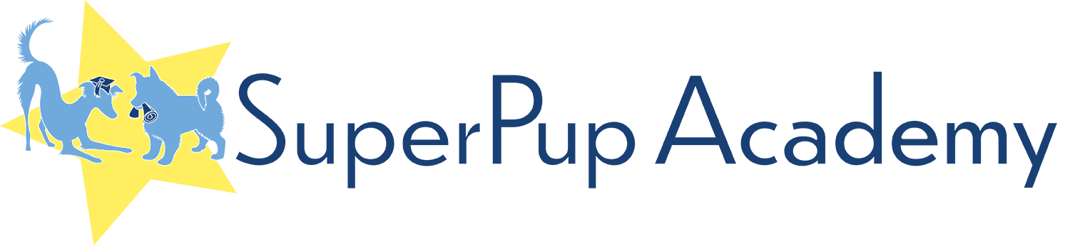 SuperPup Academy
