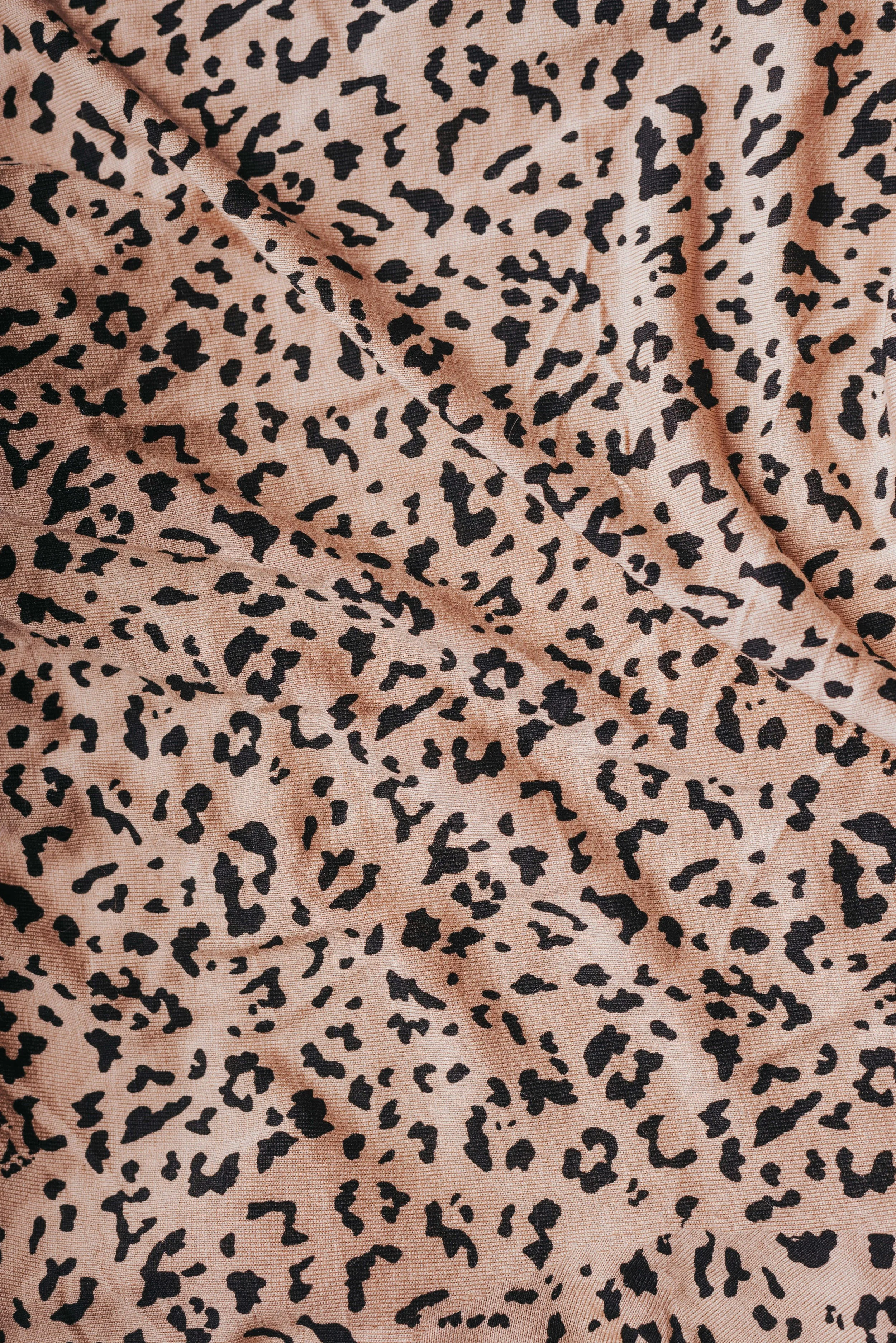 Unleash Your Wild Side with Custom Cow Print Clothing | DTG Printing ...