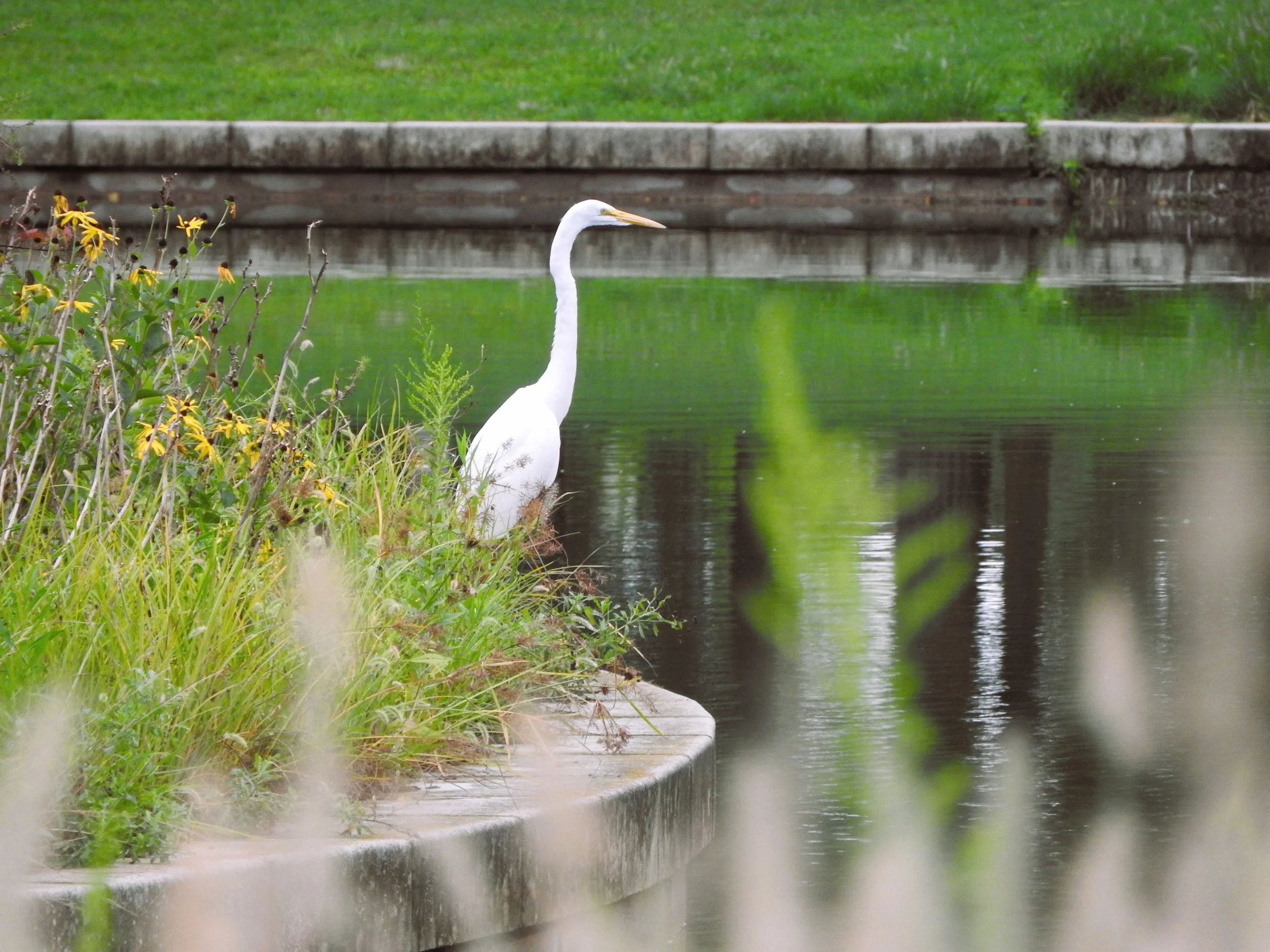 Forest Park named best US city park!