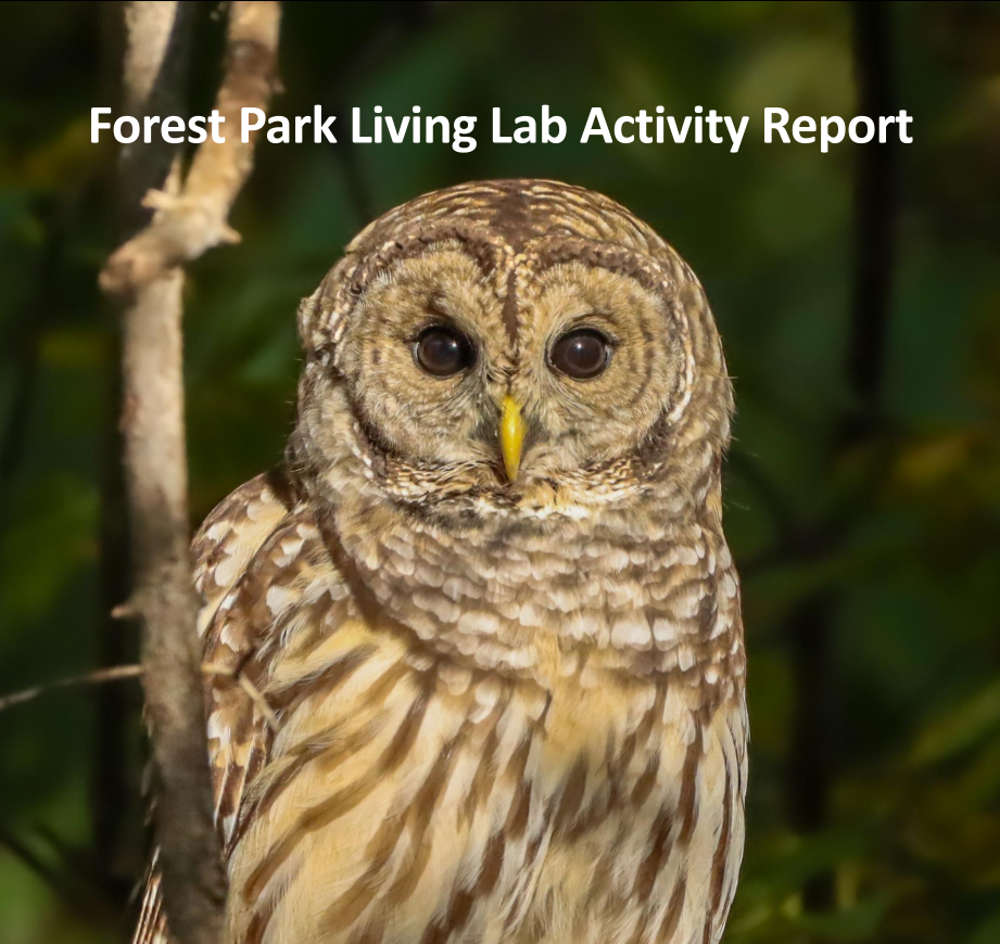 Forest Park Activity Report 2024-2025