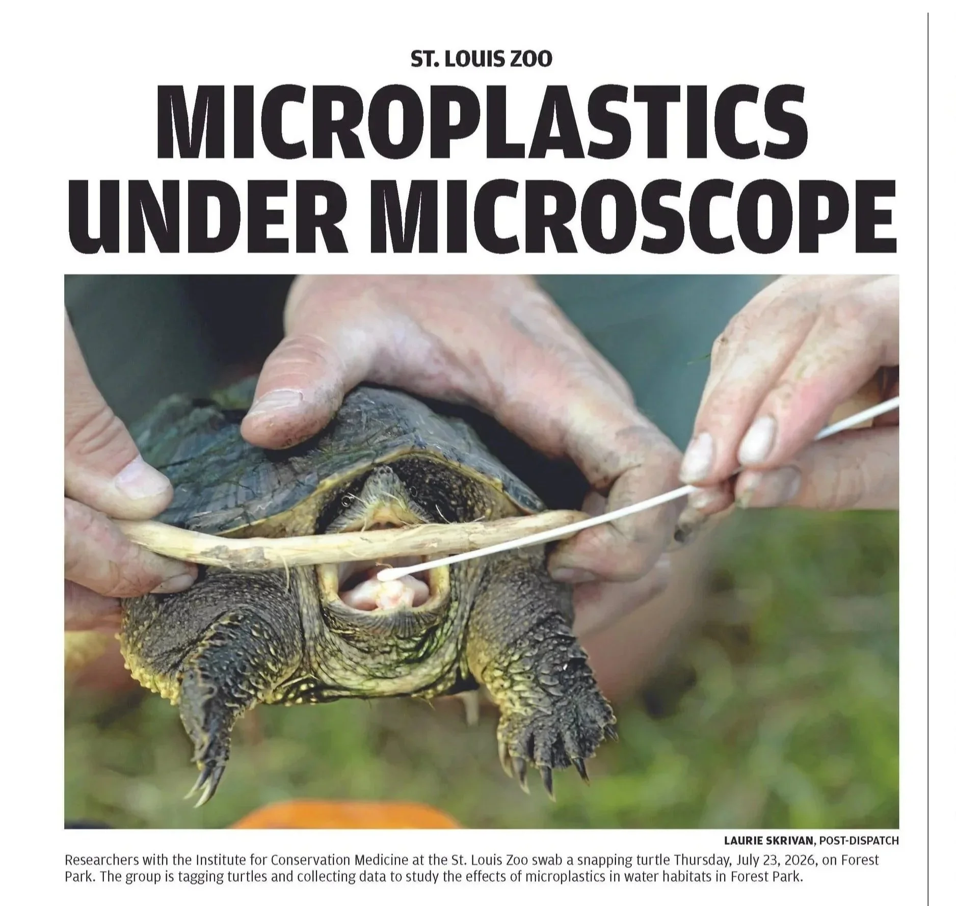 Ecotoxicology in Forest Park