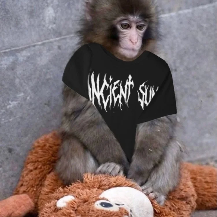 Ancient Punch 🐒 

You too can look just as cool as Punch the Monkey in our merch! All you have to do is click the link in our bio or go to www.ancientsunband.com/store to view our range of t-shirts, hoodies, crew necks, tank tops, cropped shirts, an