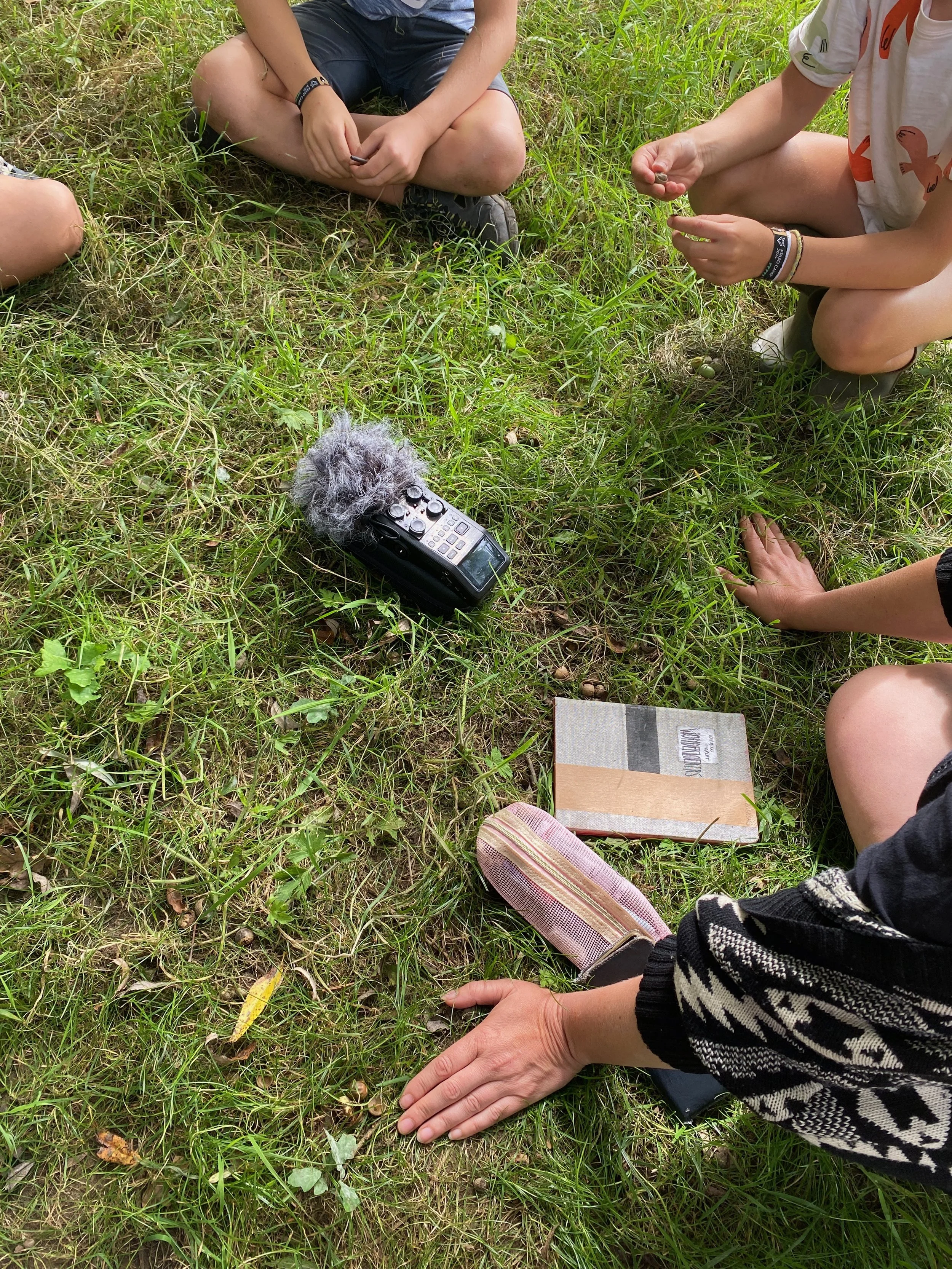 Ticco in het gras opname apparaat kopie.jpeg