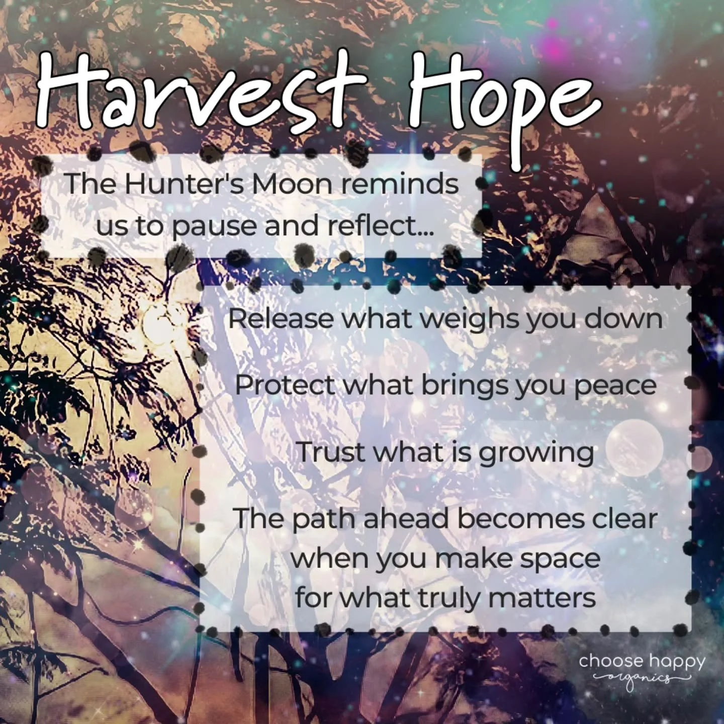 ✨ The Hunter's Moon rises tonight, bringing an invitation to pause, reflect, and reconnect with what matters most.

A time to acknowledge how far you've come, express gratitude for the abundance already surrounding you, and gently release anything th