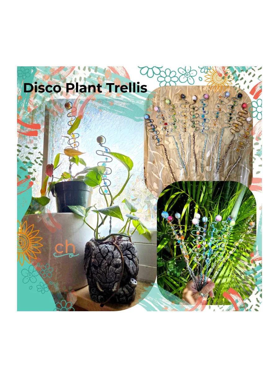 disco plant trellis