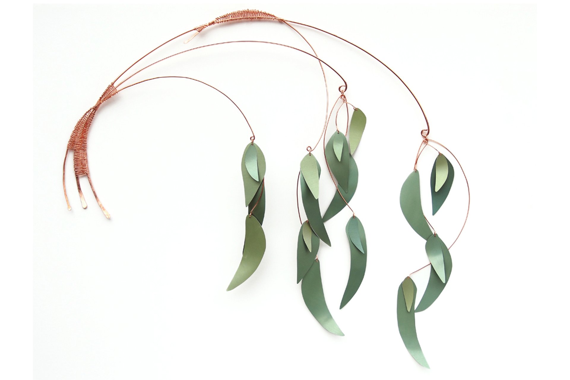 Eucalyptus