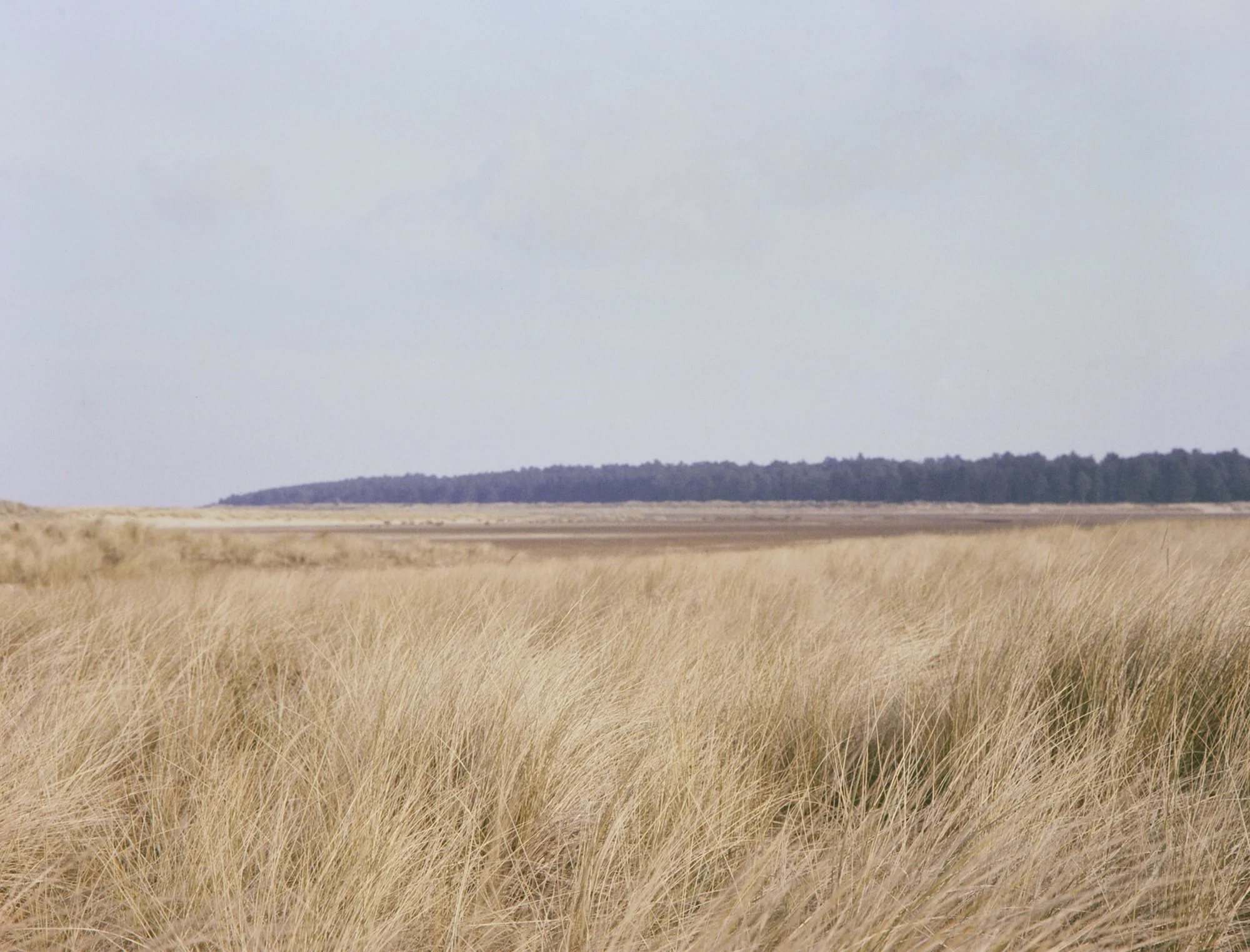 Photo of a Norfolk beach