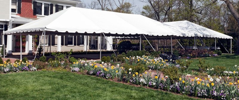 TENT6.jpeg