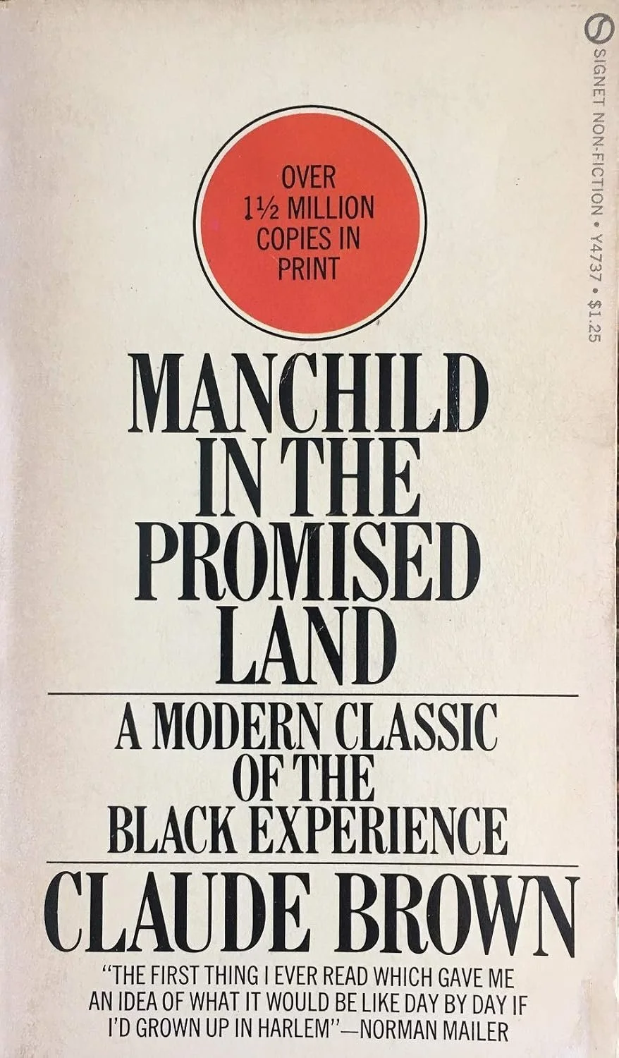 Manchild in the Promised Land by Claude Brown
