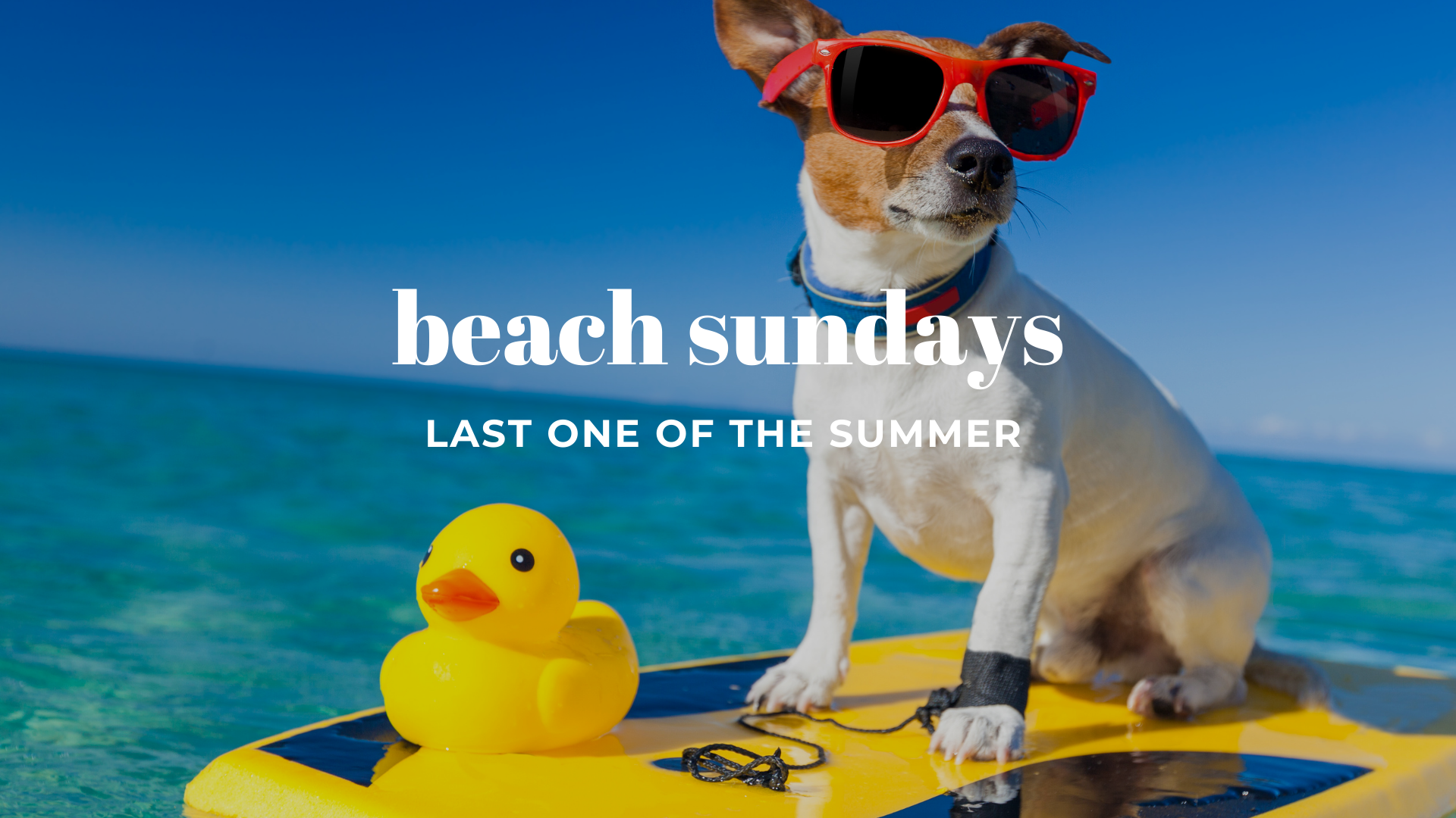 Beach Sundays (Ocean Park)