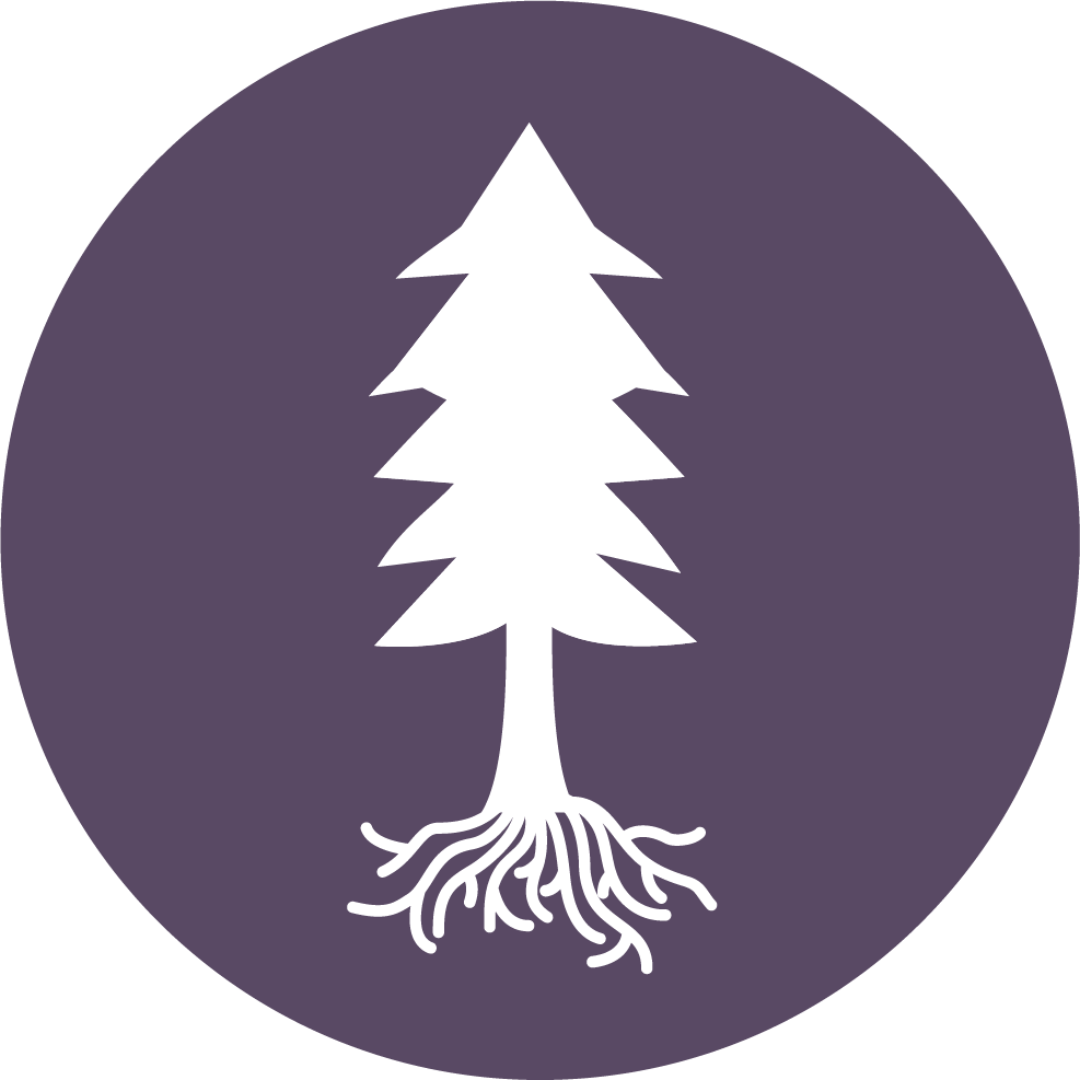 Honl Tree Care Inc gallery 7