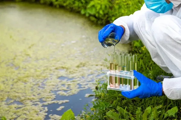Enfoque de un científico tomando una muestra del agua con bacterias utilizadas en el tratamiento de aguas residuales.