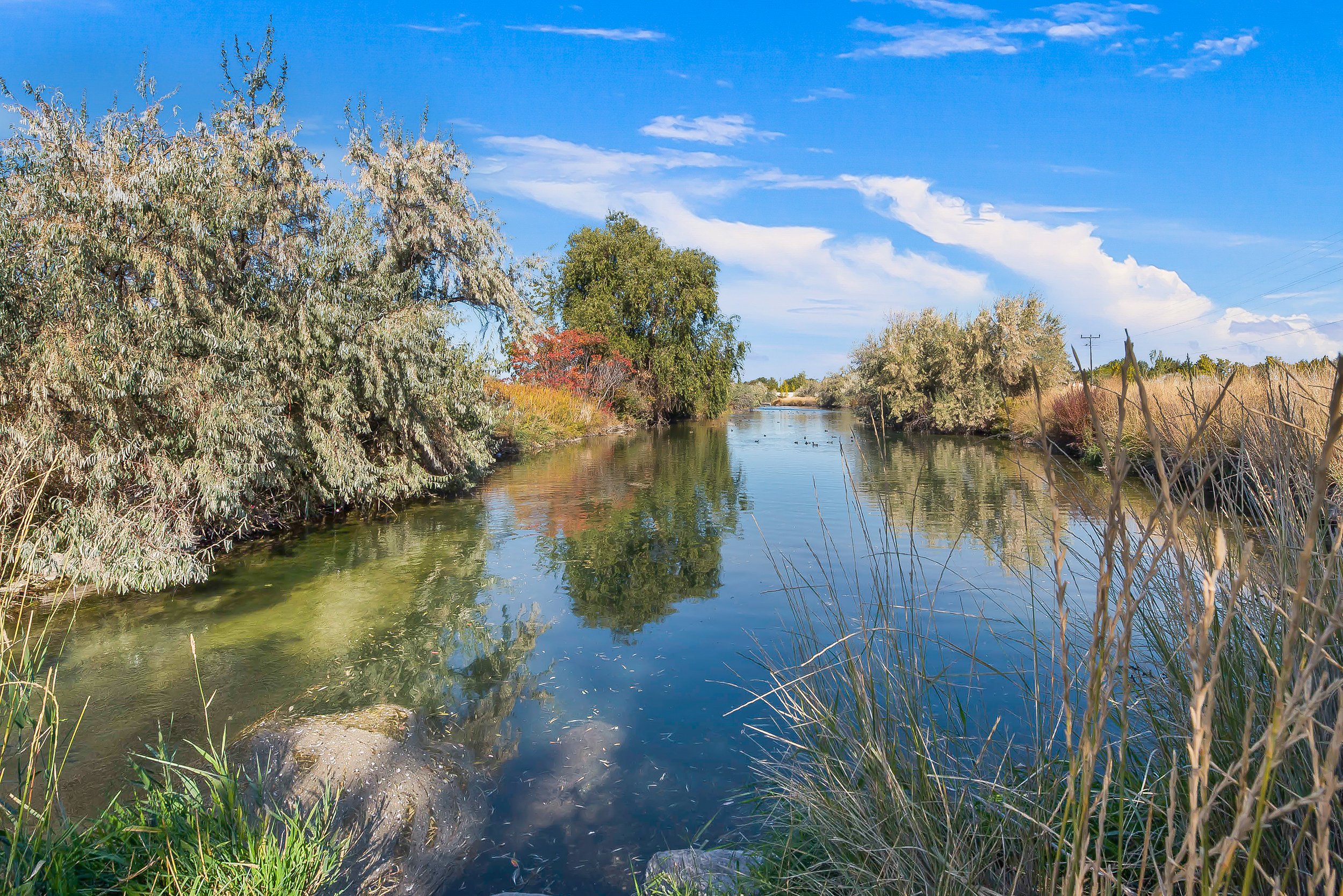 47-Wilsons Pond and Nampa Greenbelt.jpg