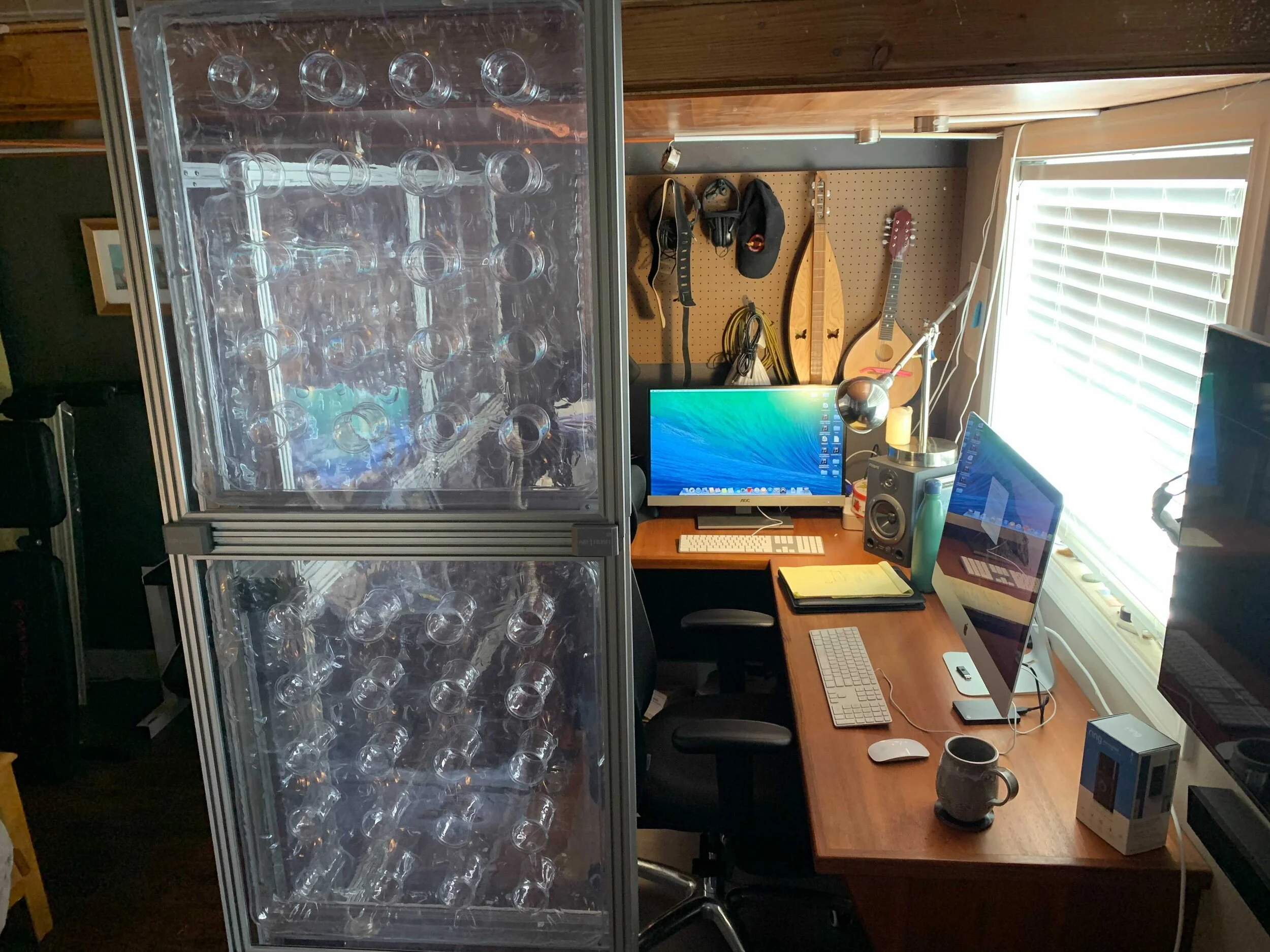 Image from iOS (1).jpg