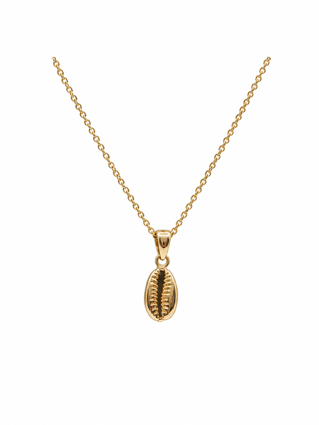 Seashell necklace