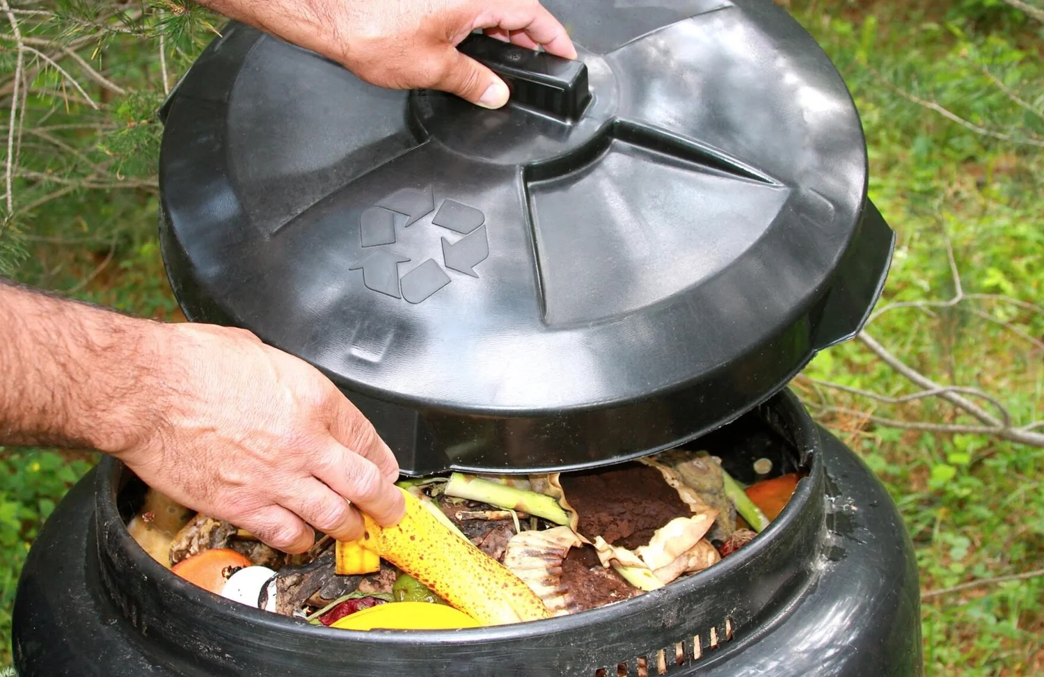 Composting — Zero Waste Wrangler