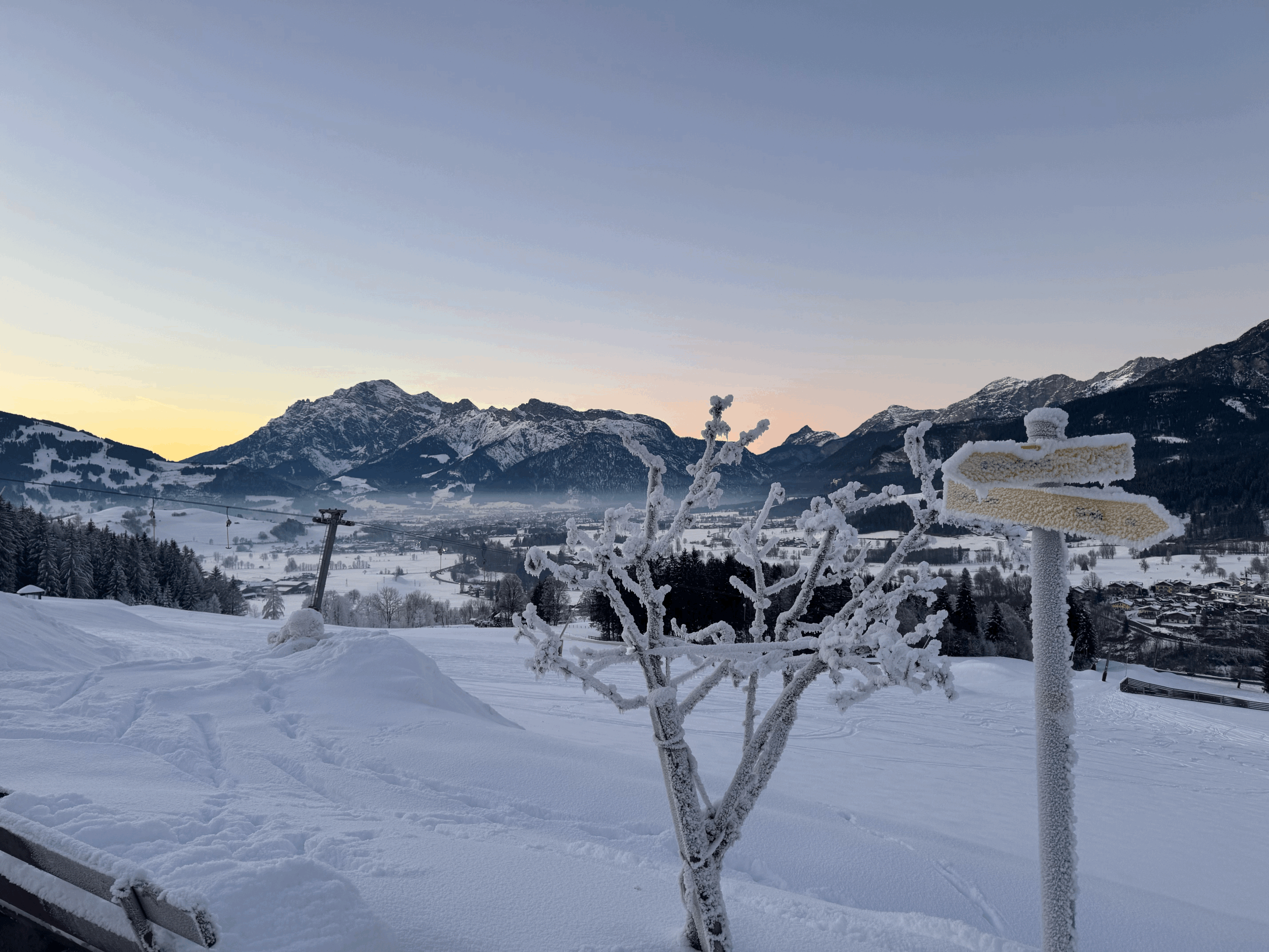 January Races | Alpine