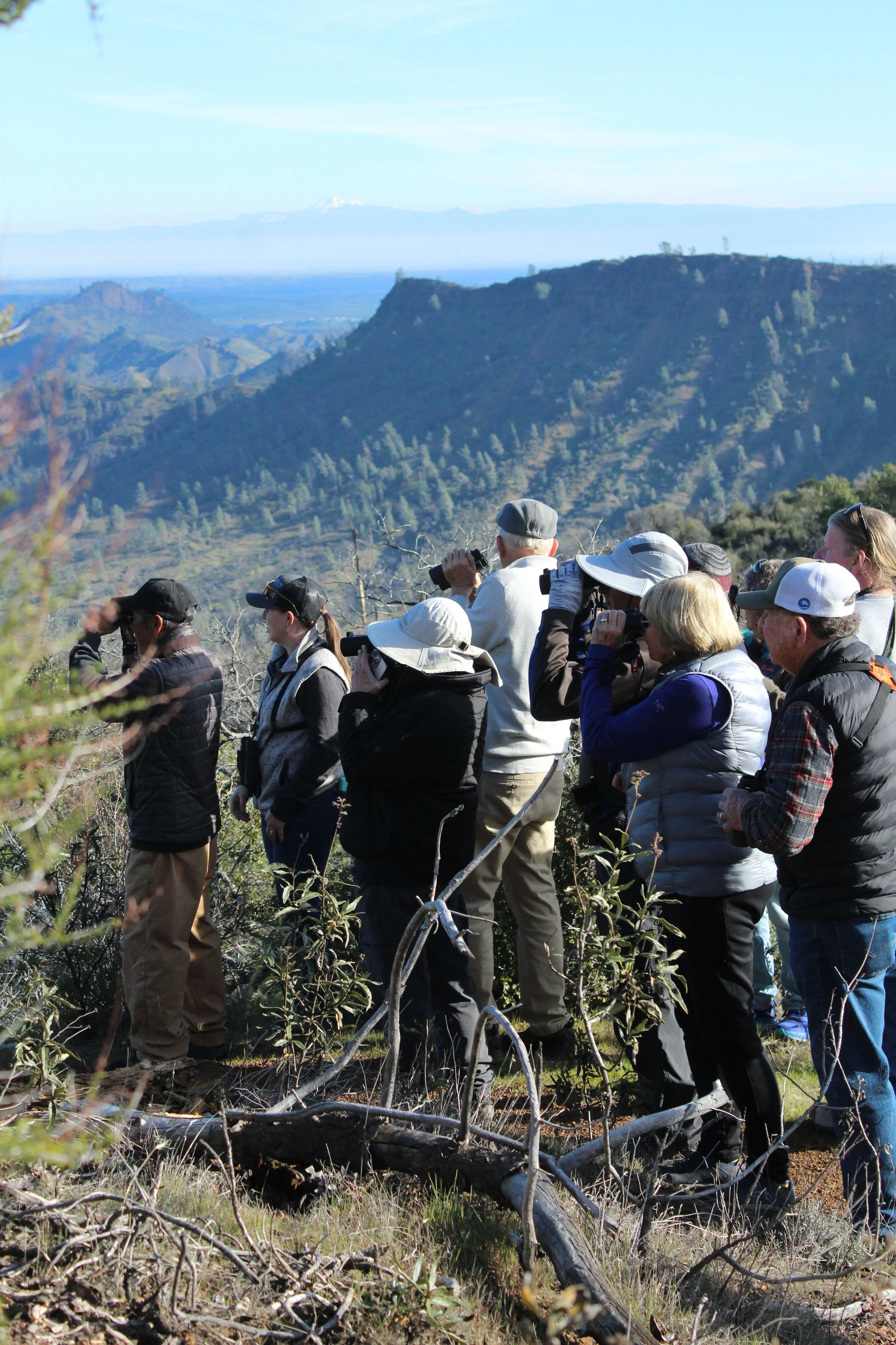 Spreading Our Wings at the 2026 Snow Goose Festival!