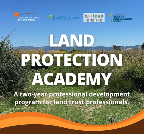 An Academy for Saving the World